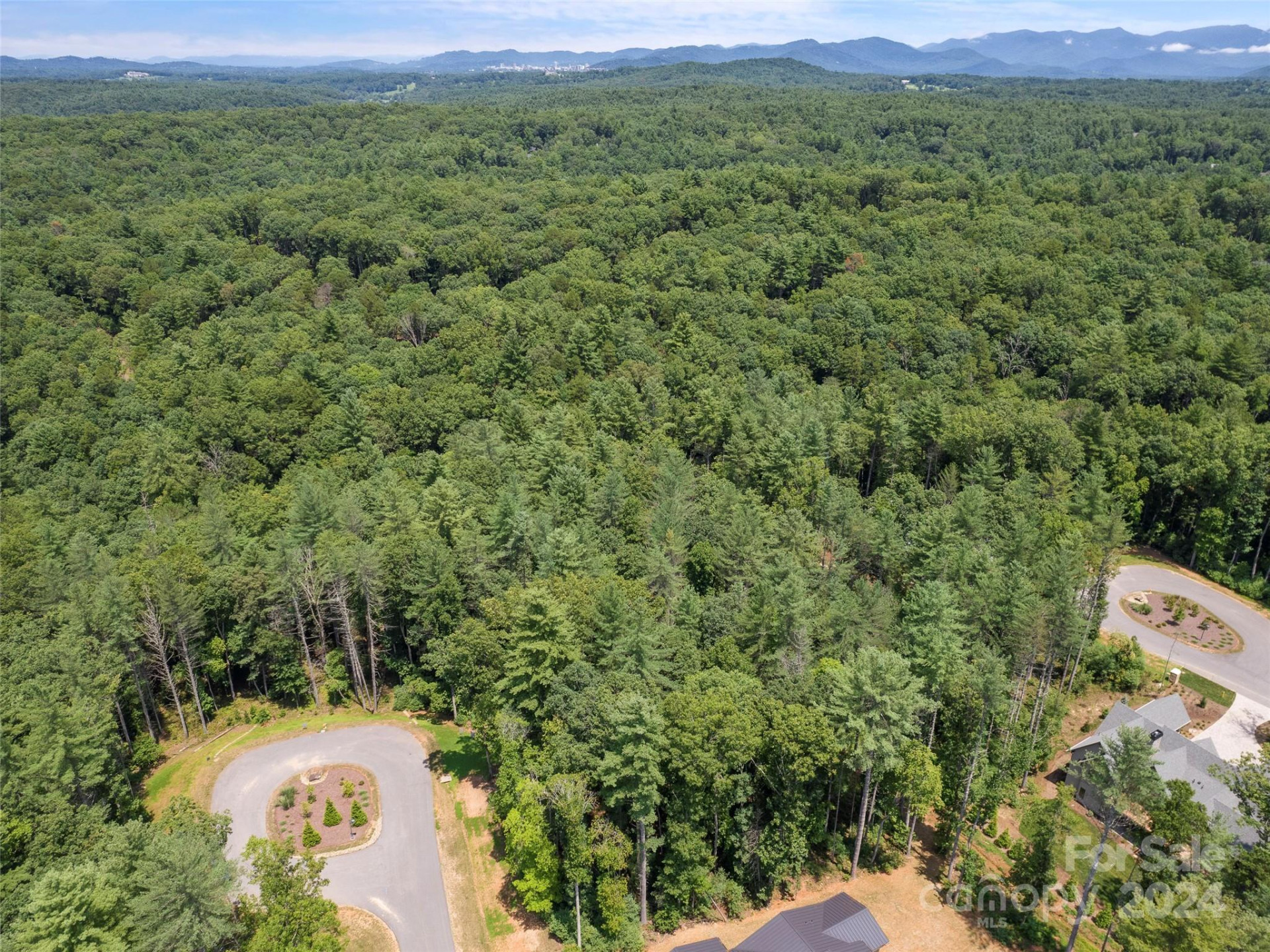 323 Flowering Vine Court #617 - Photo 5