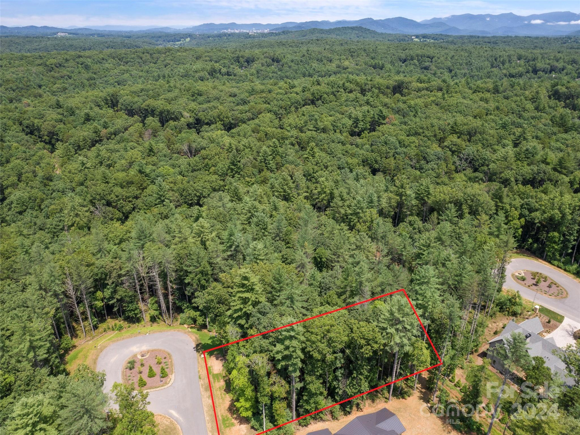 323 Flowering Vine Court #617 - Photo 6