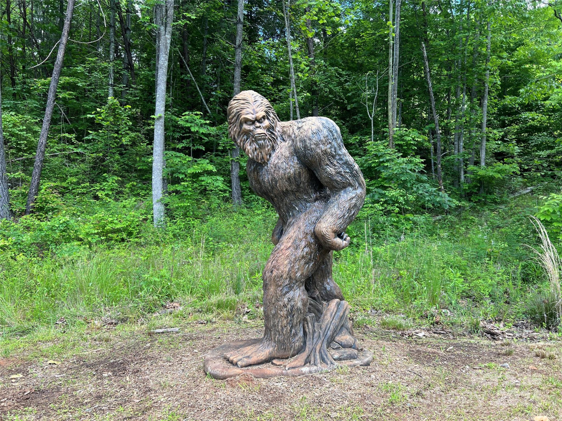 0000 Ardal Street #177