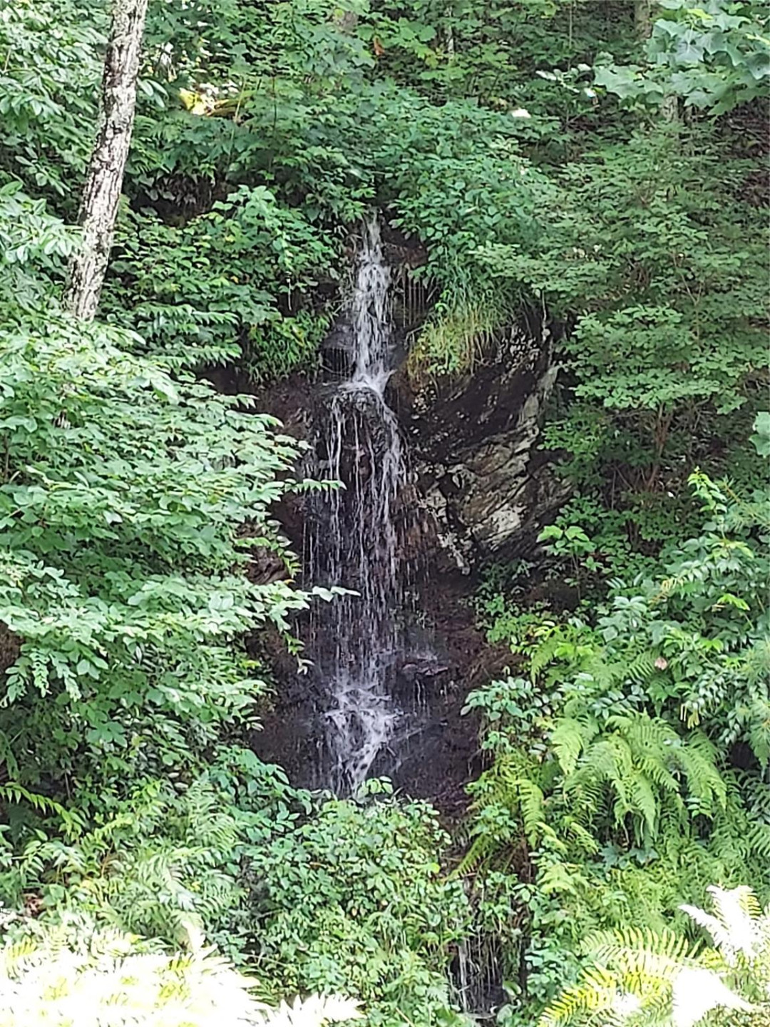 243 Starling Pass - Photo 4