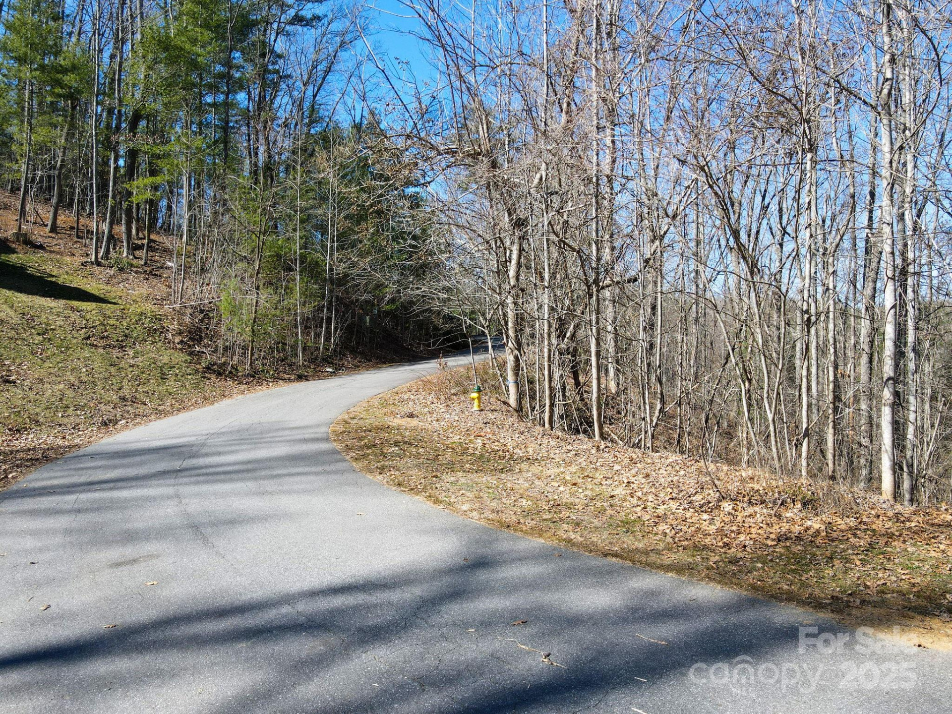 31 Forest Spring Drive #14A - Photo 10