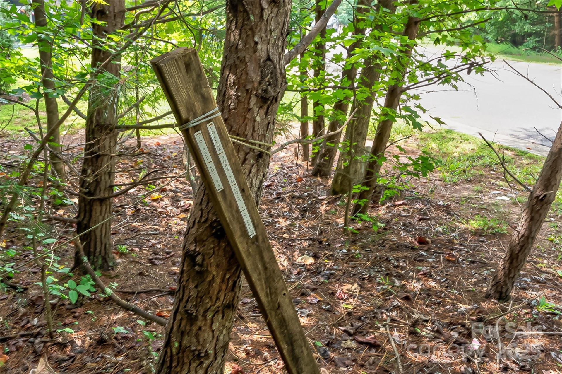 1277 Northview Drive - Photo 8