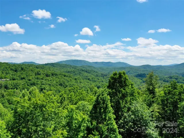 211 Bent Pine Trace