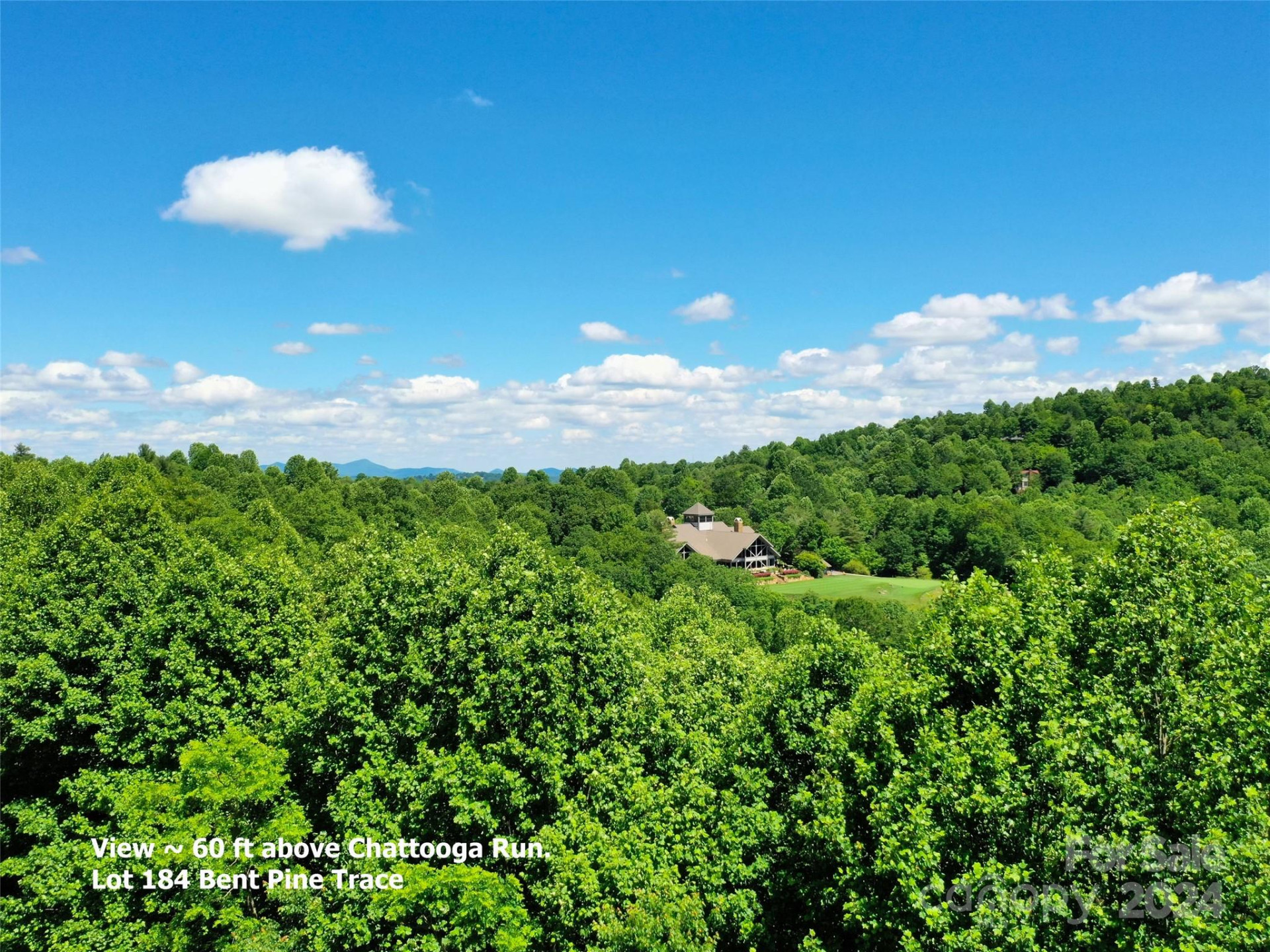 211 Bent Pine Trace #184 - Photo 2