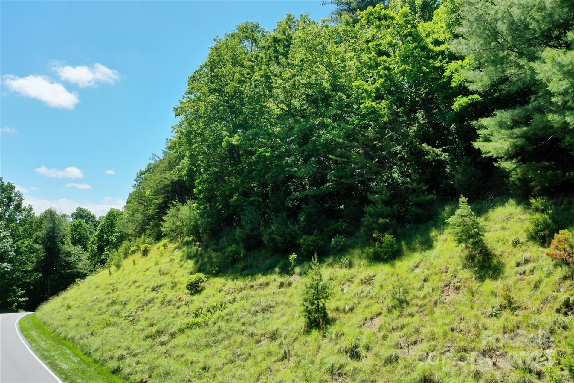 211 Bent Pine Trace #184 - Photo 11