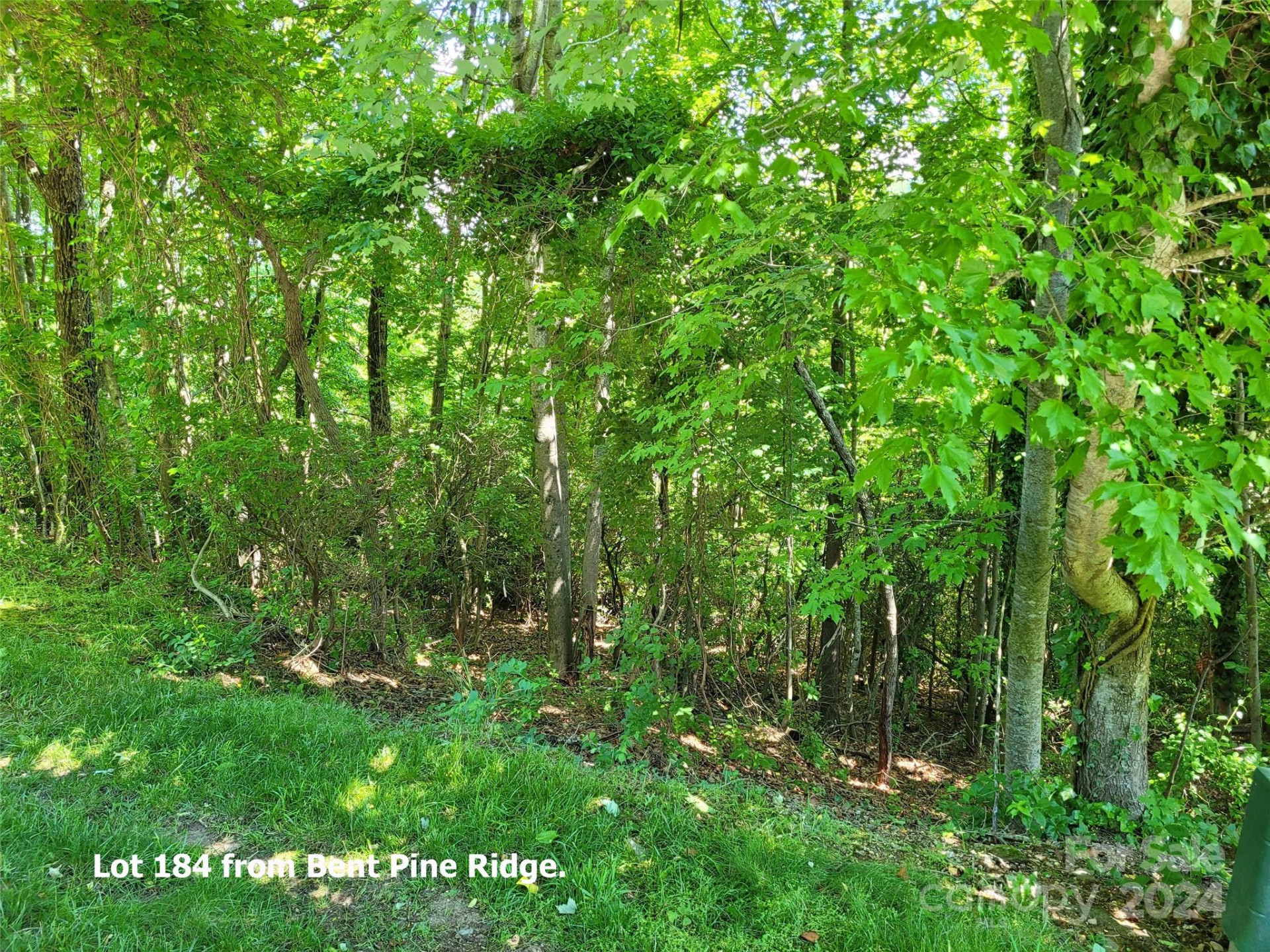 211 Bent Pine Trace #184 - Photo 14