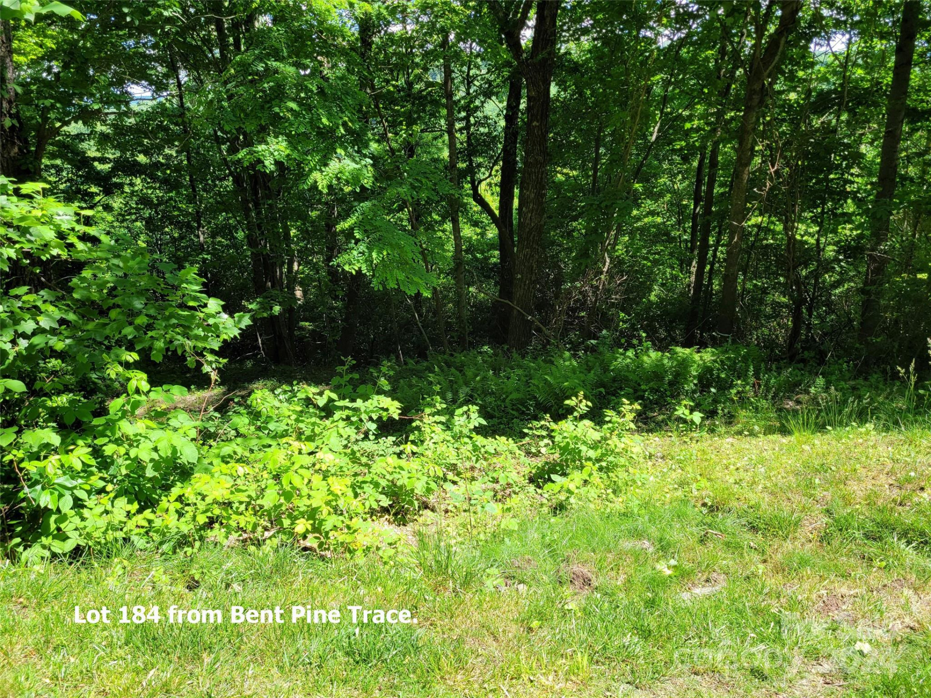 211 Bent Pine Trace #184 - Photo 16