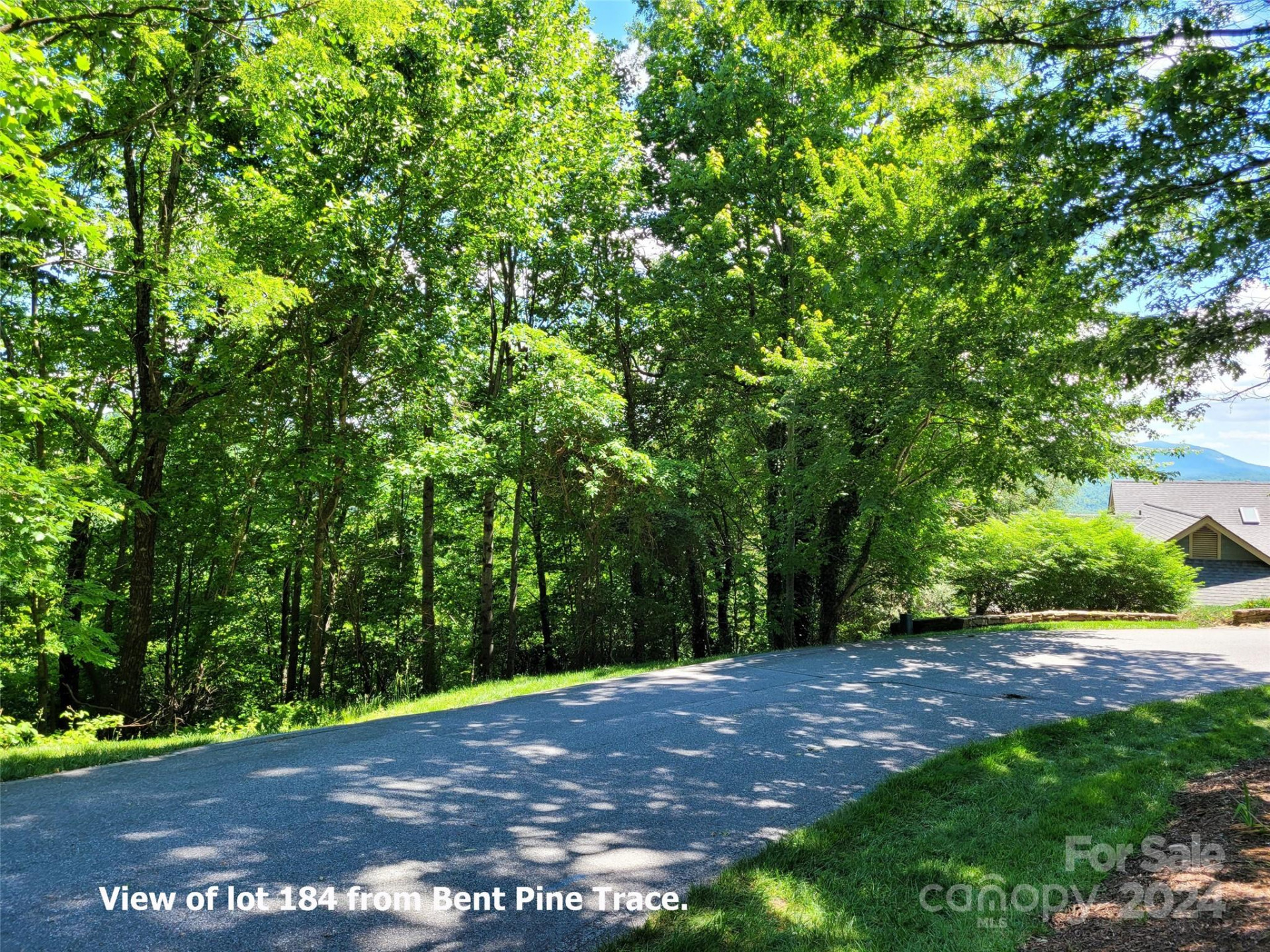 211 Bent Pine Trace #184 - Photo 18