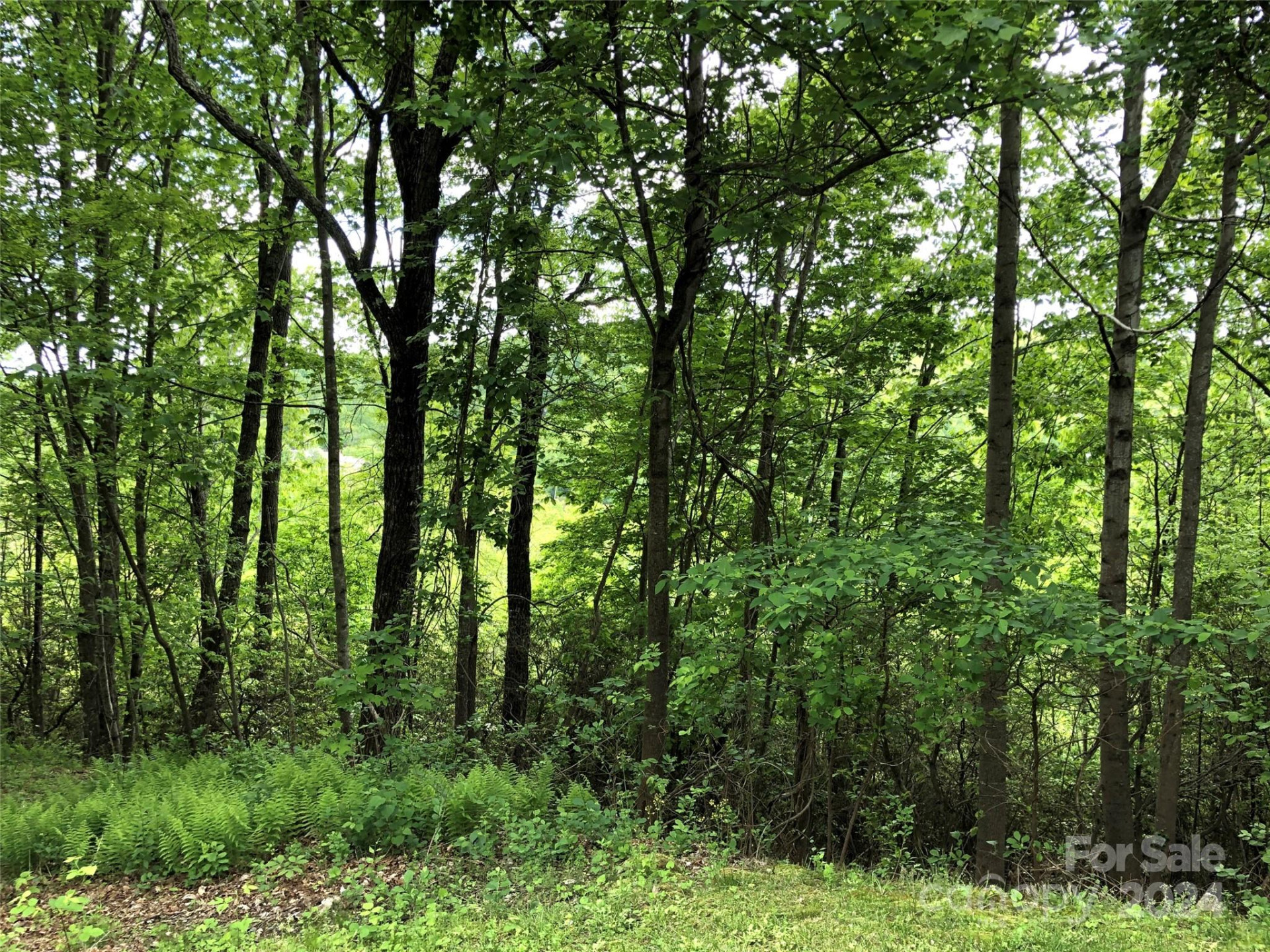 211 Bent Pine Trace #184 - Photo 31