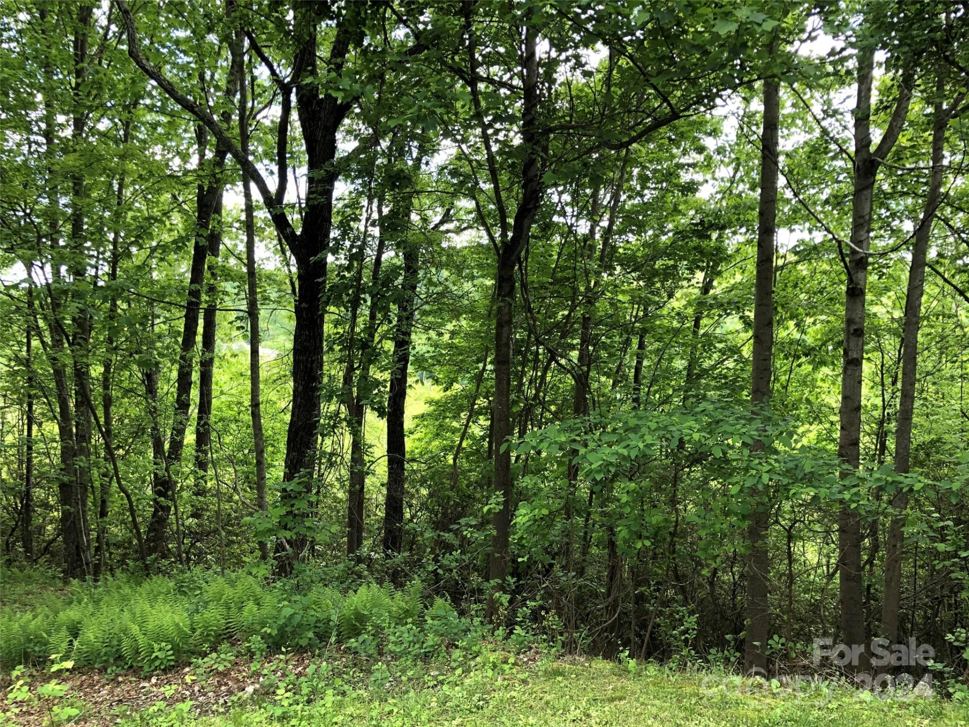 211 Bent Pine Trace #184 - Photo 31