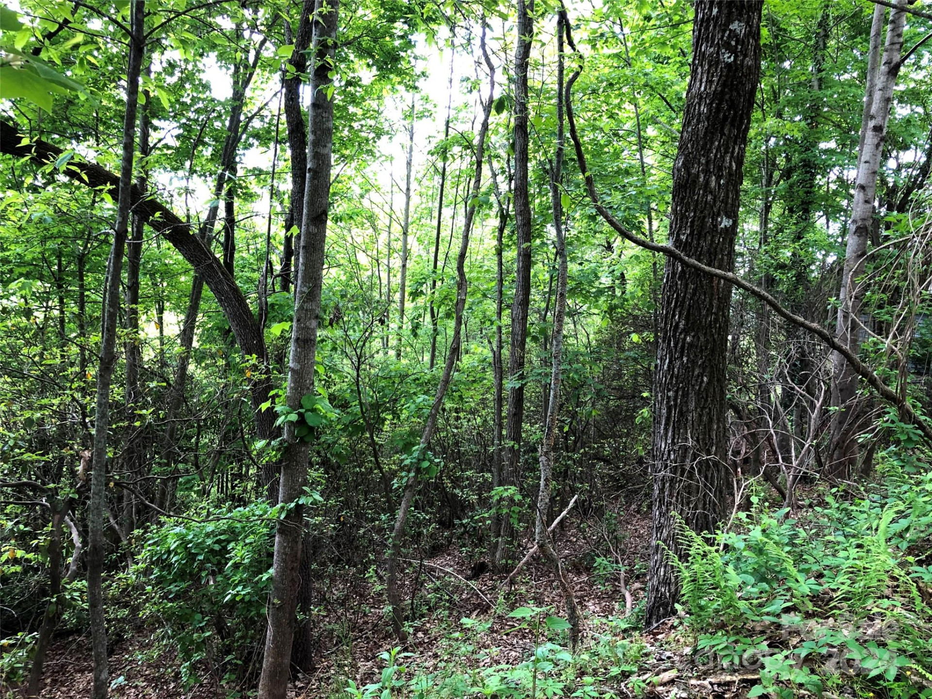 211 Bent Pine Trace #184 - Photo 33