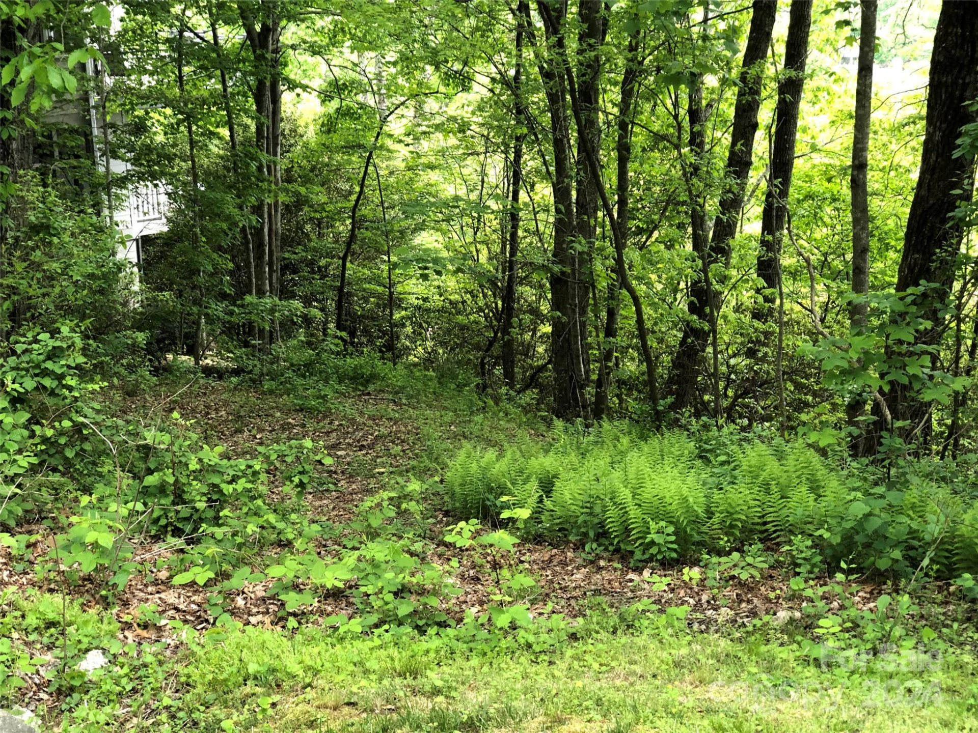 211 Bent Pine Trace #184 - Photo 36