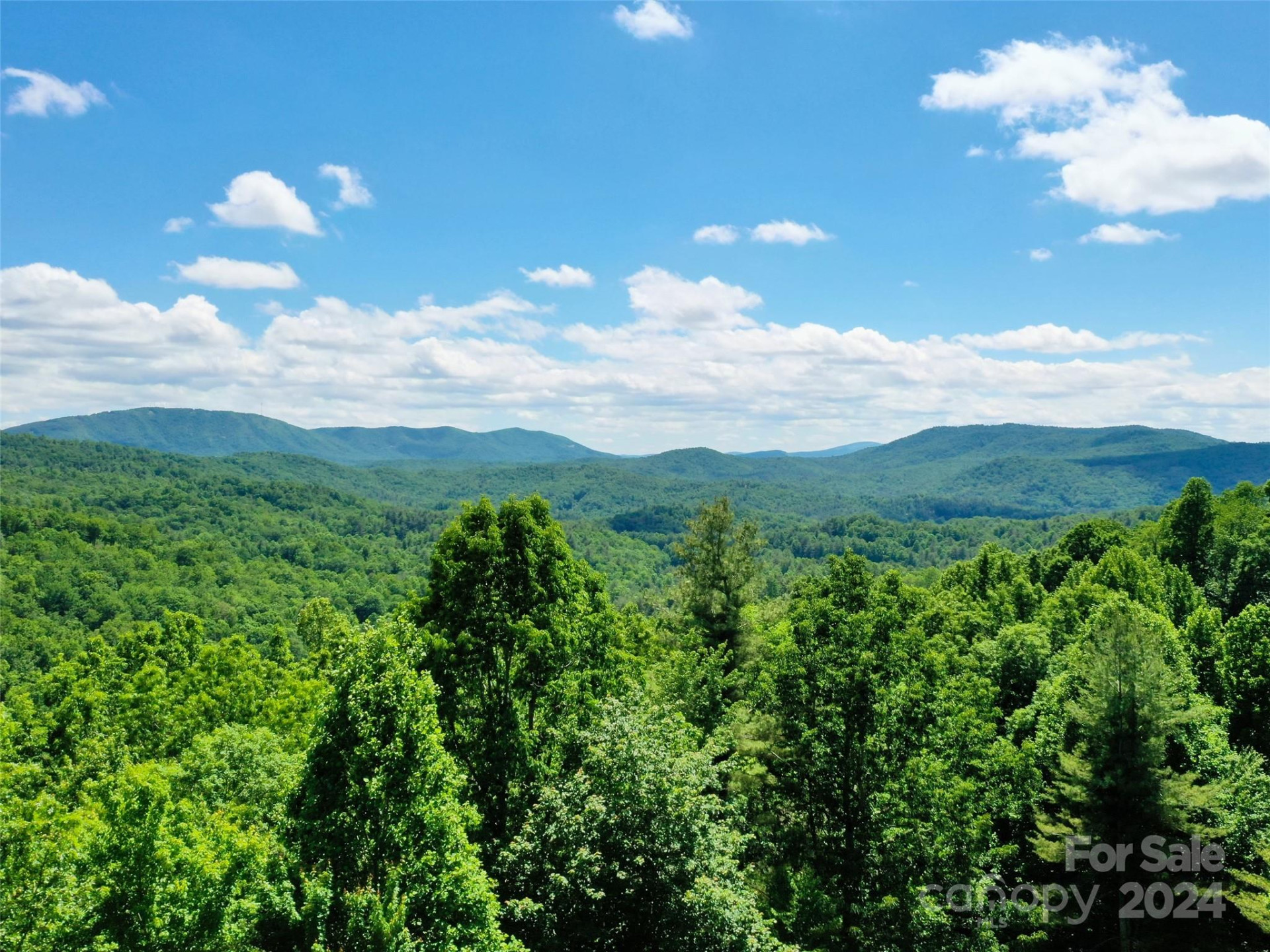 211 Bent Pine Trace #184 - Photo 5