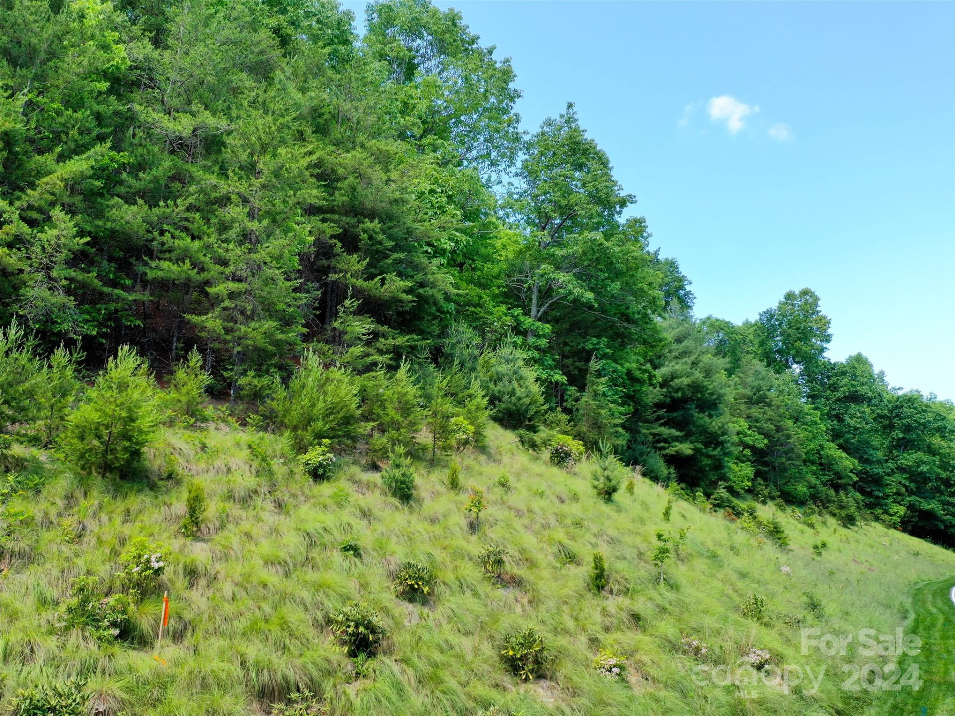 211 Bent Pine Trace #184 - Photo 41