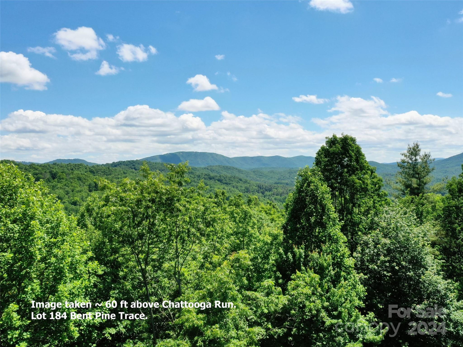 211 Bent Pine Trace #184 - Photo 6