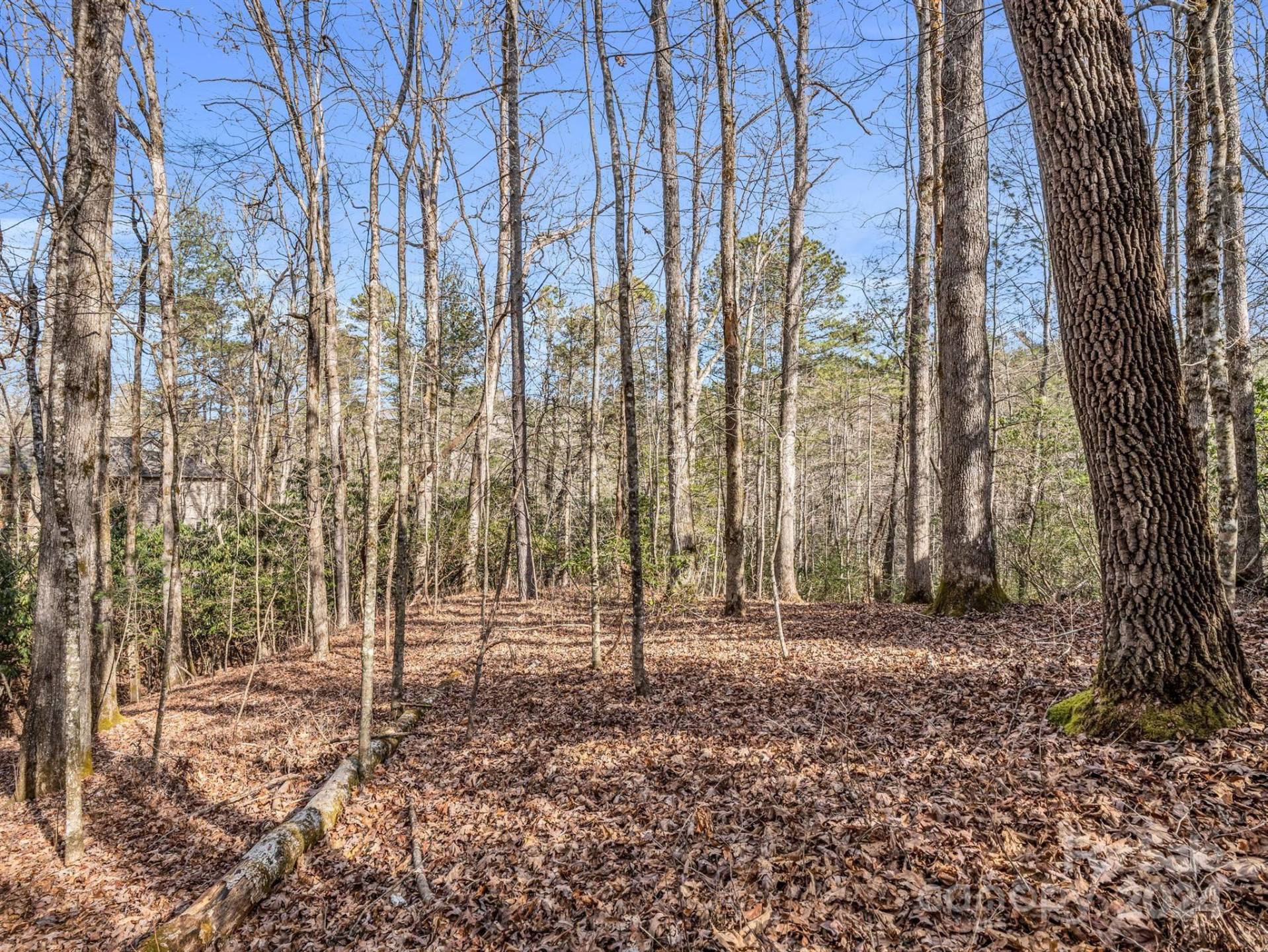 TBD Adayahi Court #14/25 - Photo 11