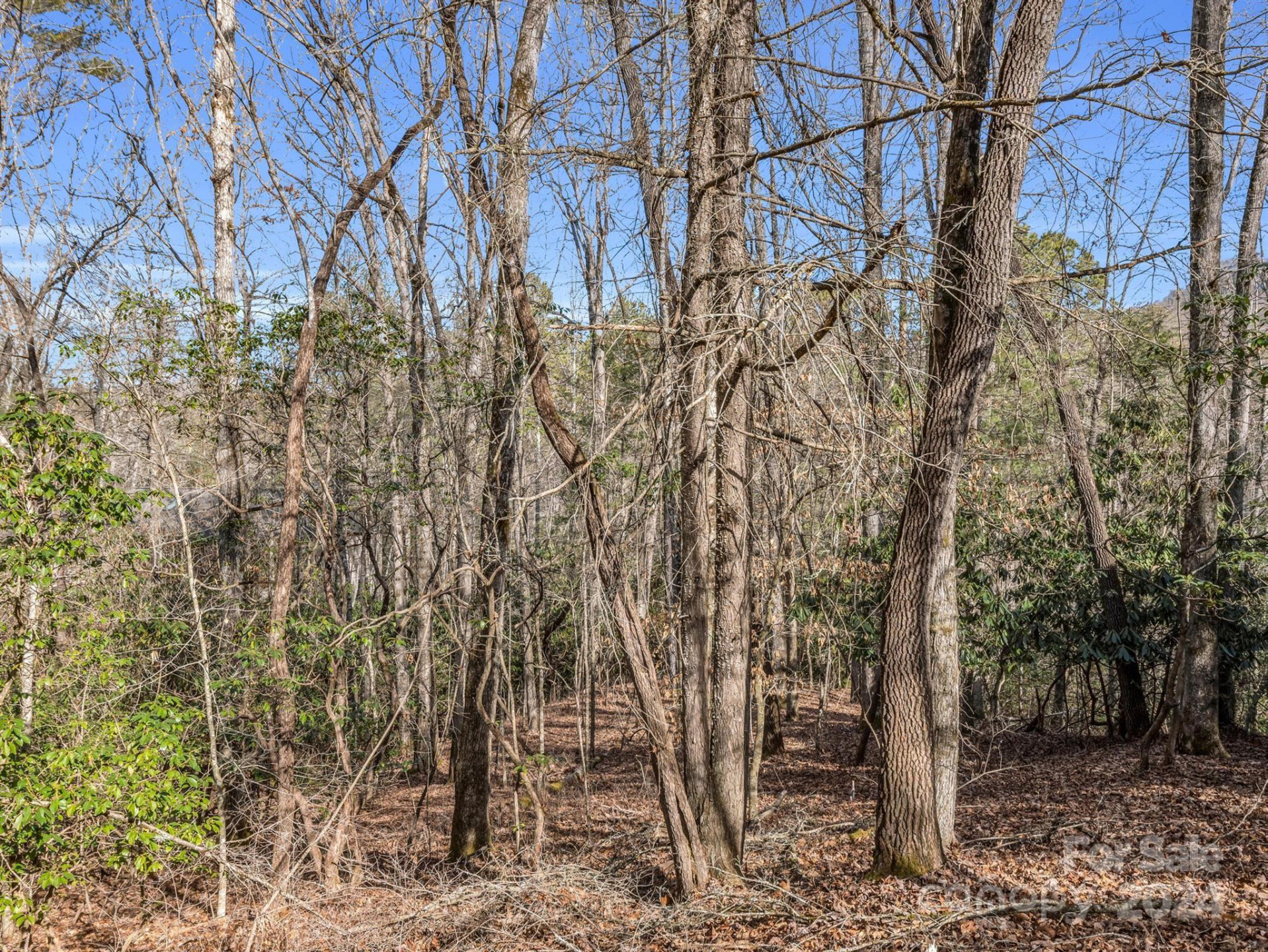 TBD Adayahi Court #14/25 - Photo 12