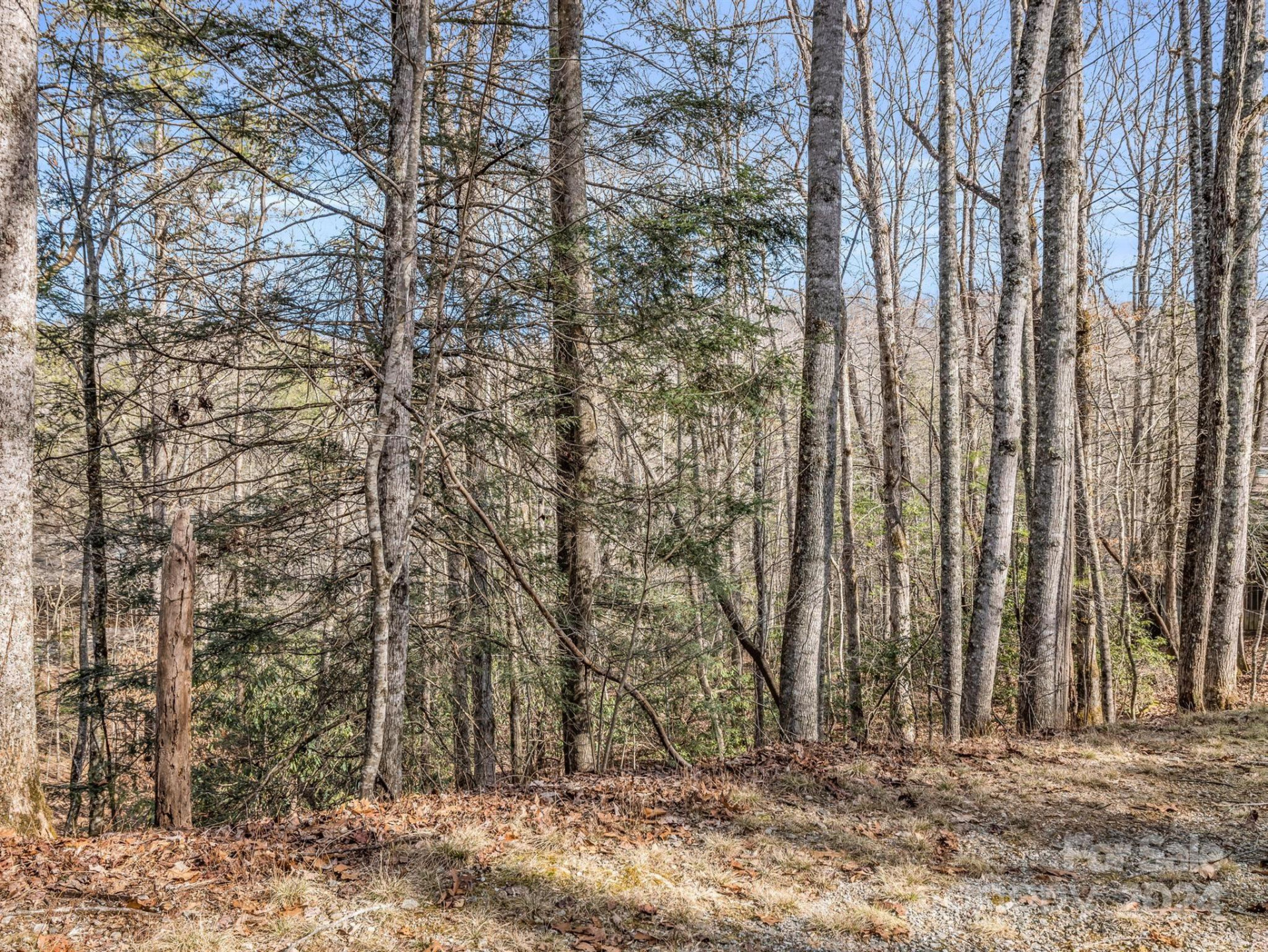 TBD Adayahi Court #14/25 - Photo 13