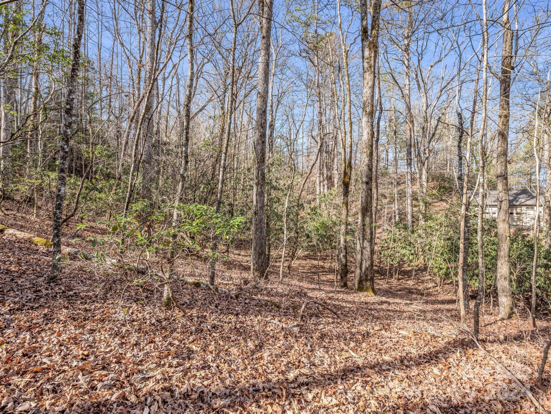 TBD Adayahi Court #14/25 - Photo 4