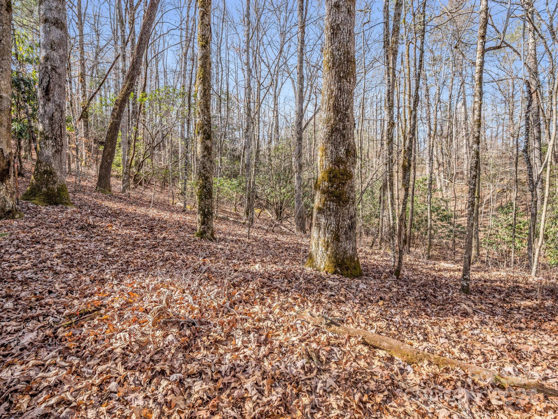 TBD Adayahi Court #14/25 - Photo 5