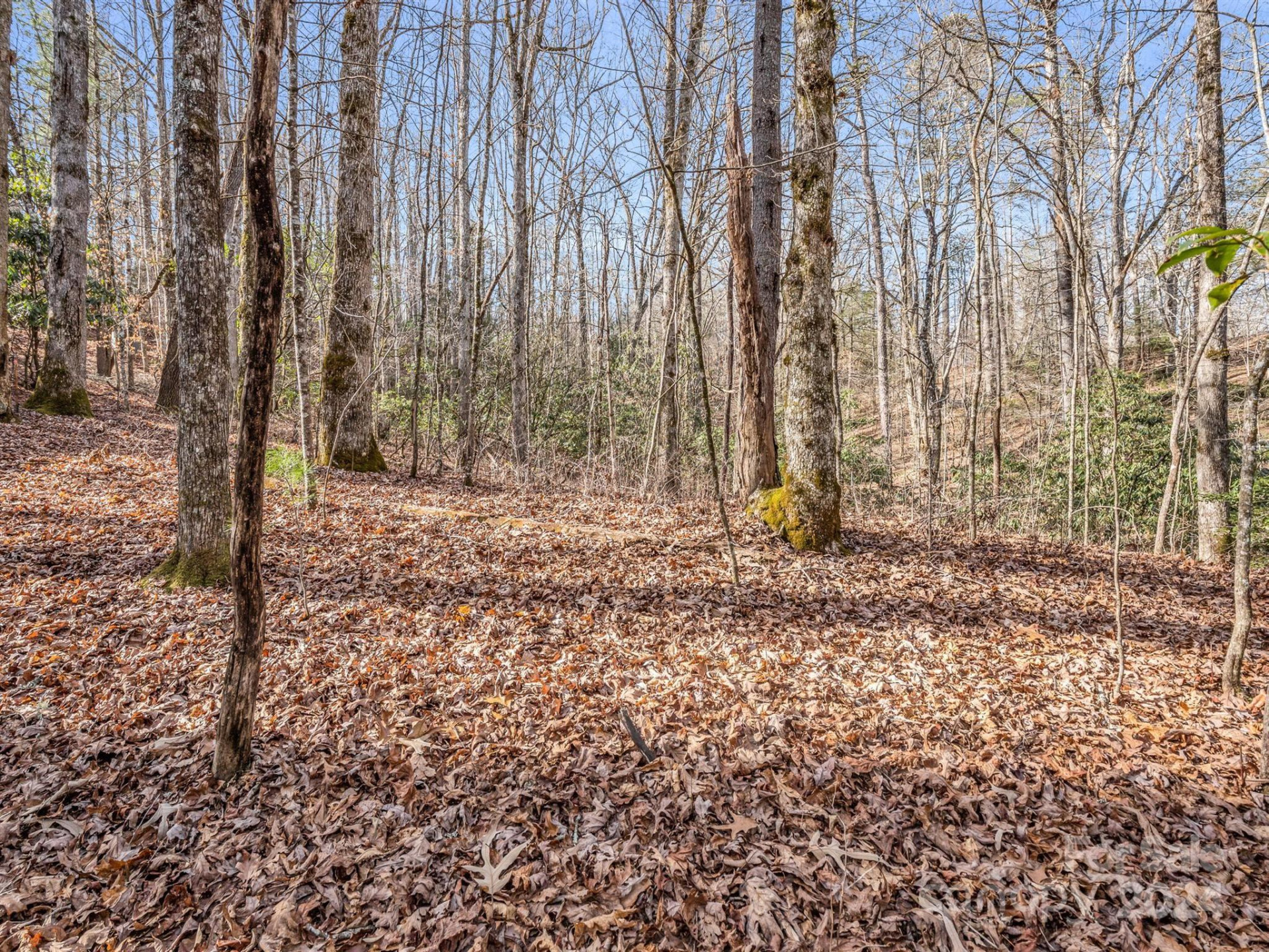 TBD Adayahi Court #14/25 - Photo 6