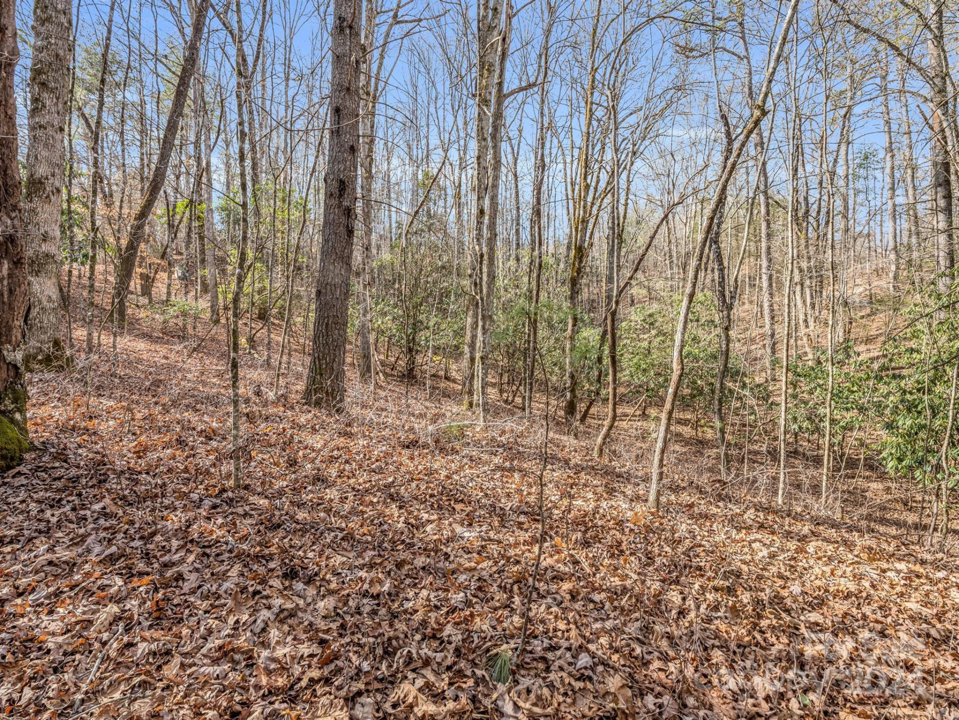 TBD Adayahi Court #14/25 - Photo 7