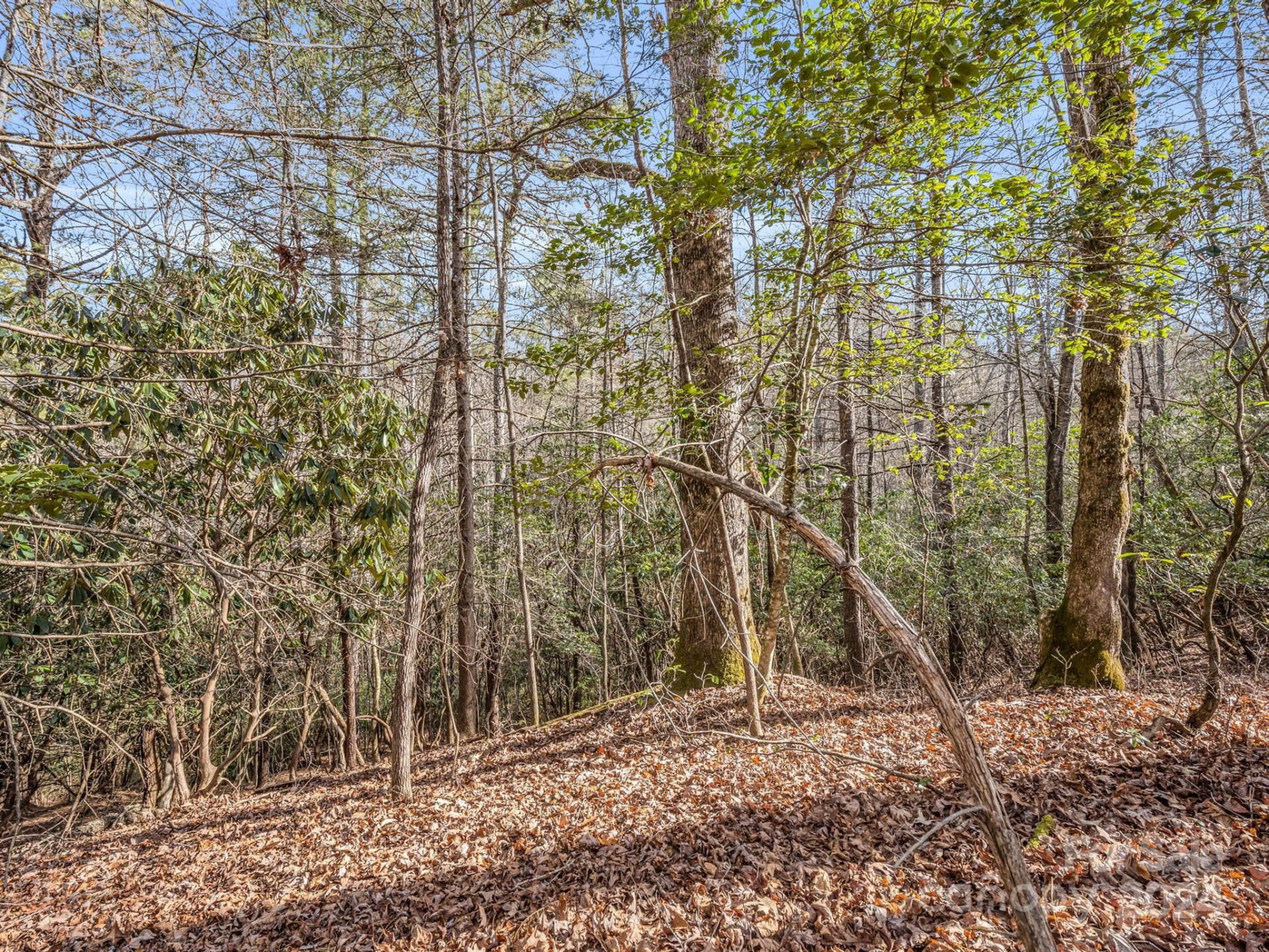 TBD Adayahi Court #14/25 - Photo 8