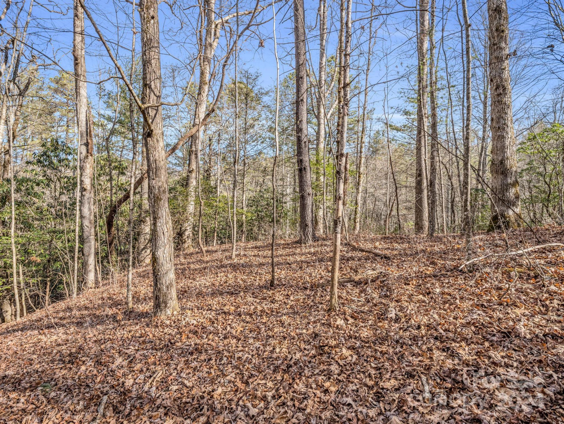 TBD Adayahi Court #14/25 - Photo 9