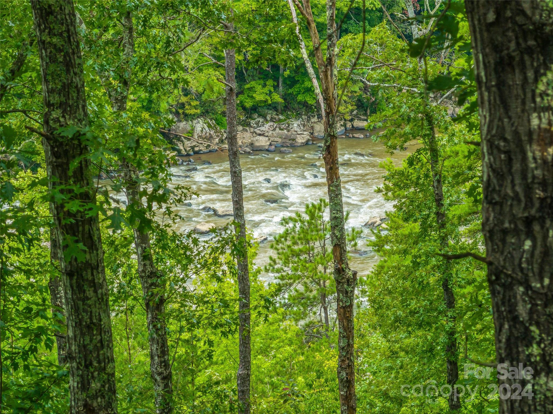 4155 French Broad Parkway - Photo 2