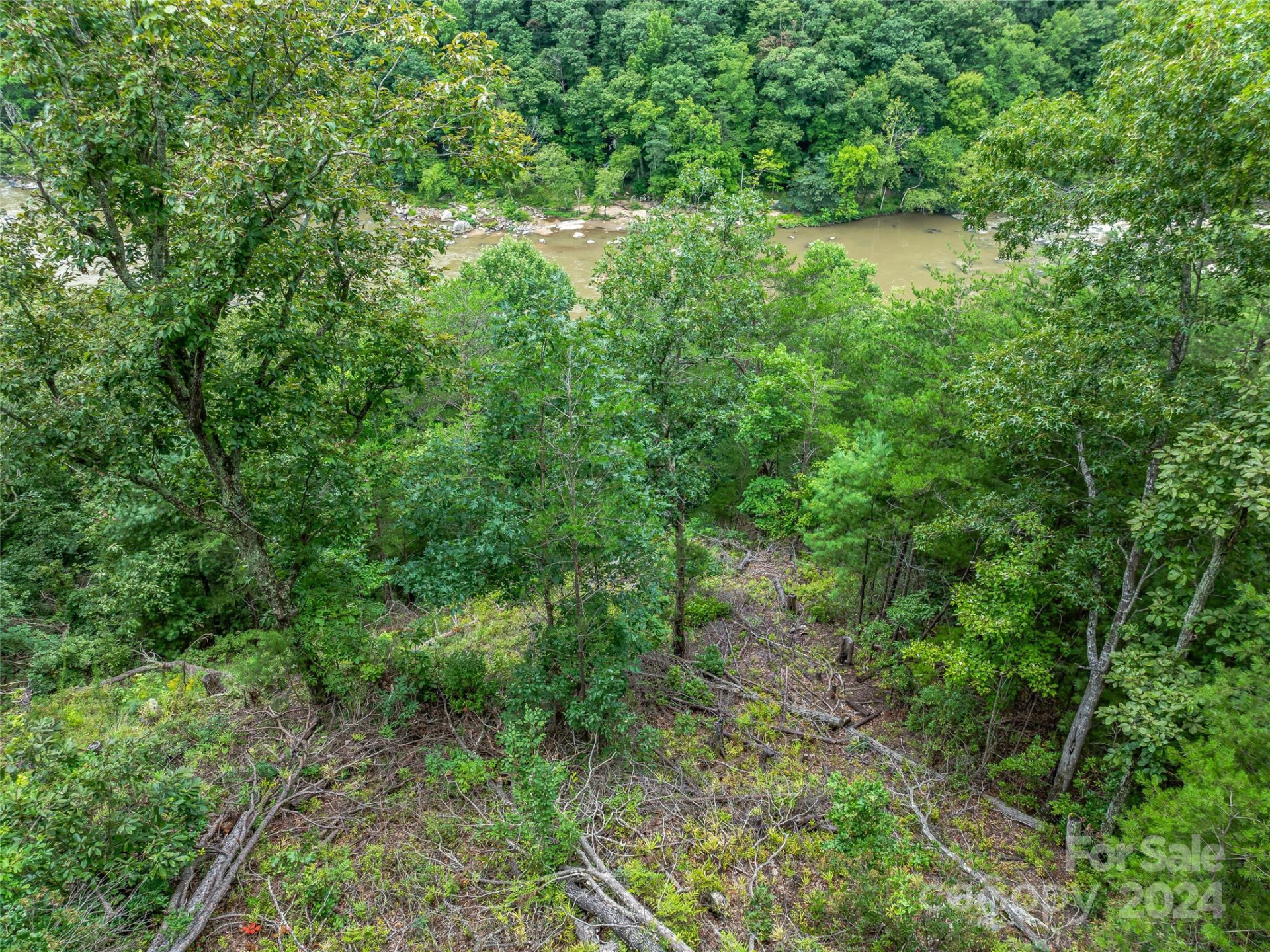 4155 French Broad Parkway - Photo 12