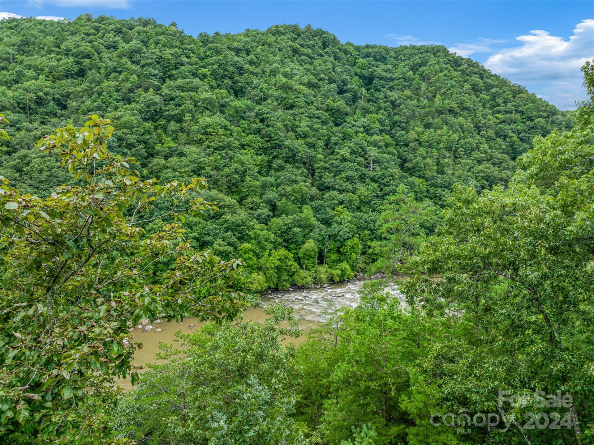 4155 French Broad Parkway - Photo 13