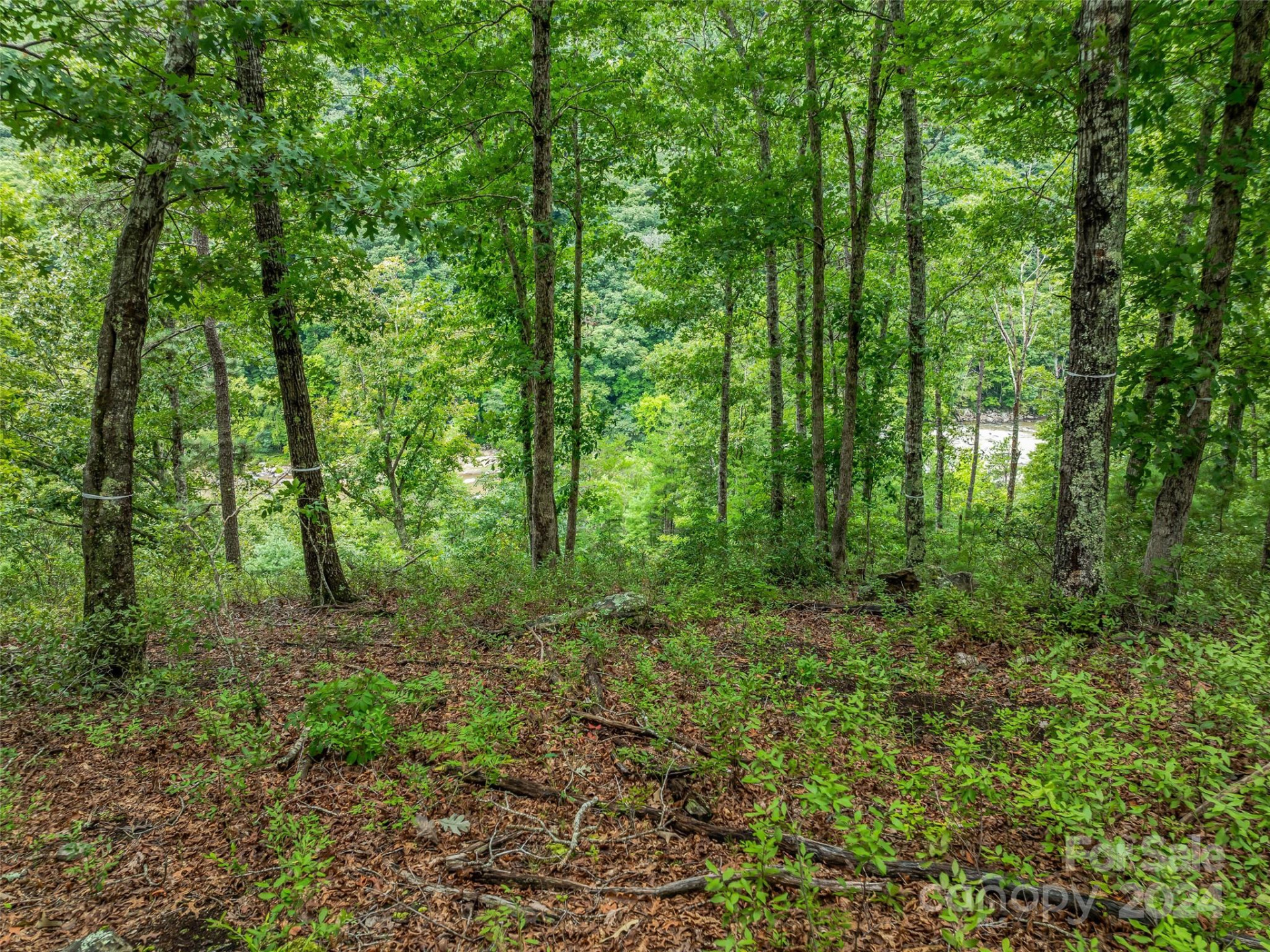 4155 French Broad Parkway - Photo 15