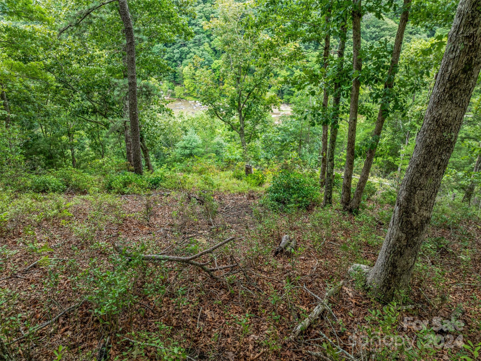 4155 French Broad Parkway - Photo 17