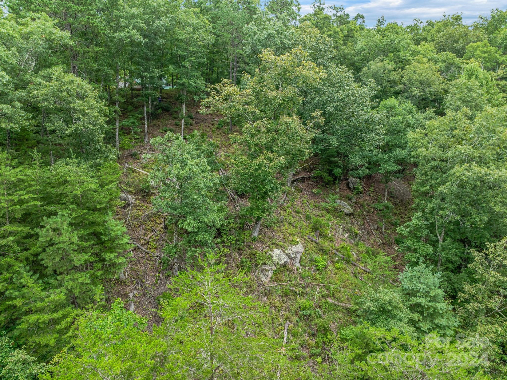 4155 French Broad Parkway - Photo 18