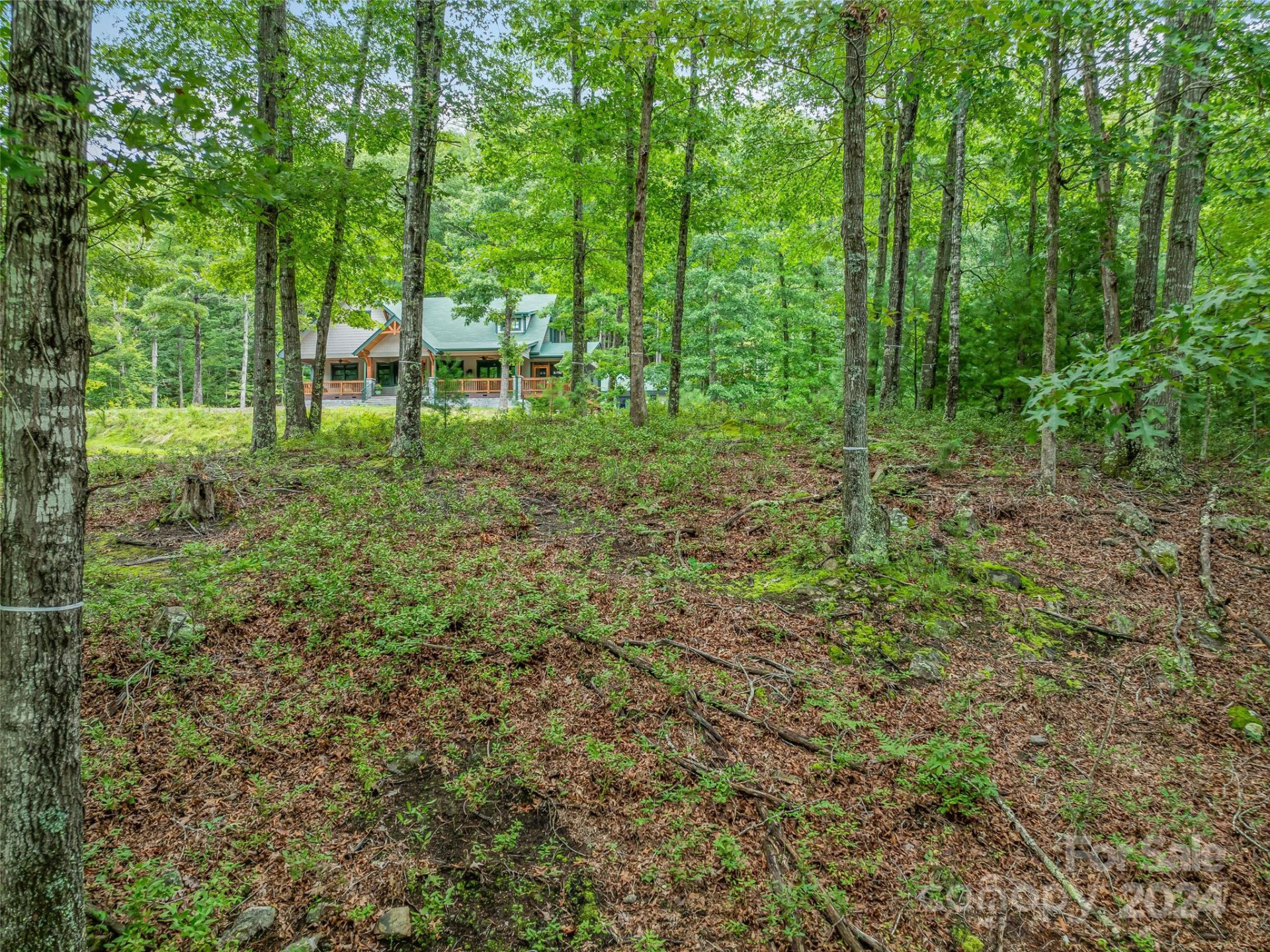 4155 French Broad Parkway - Photo 20