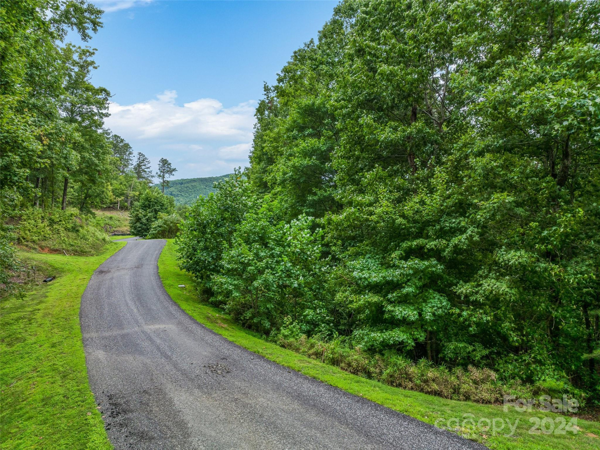 4155 French Broad Parkway - Photo 22