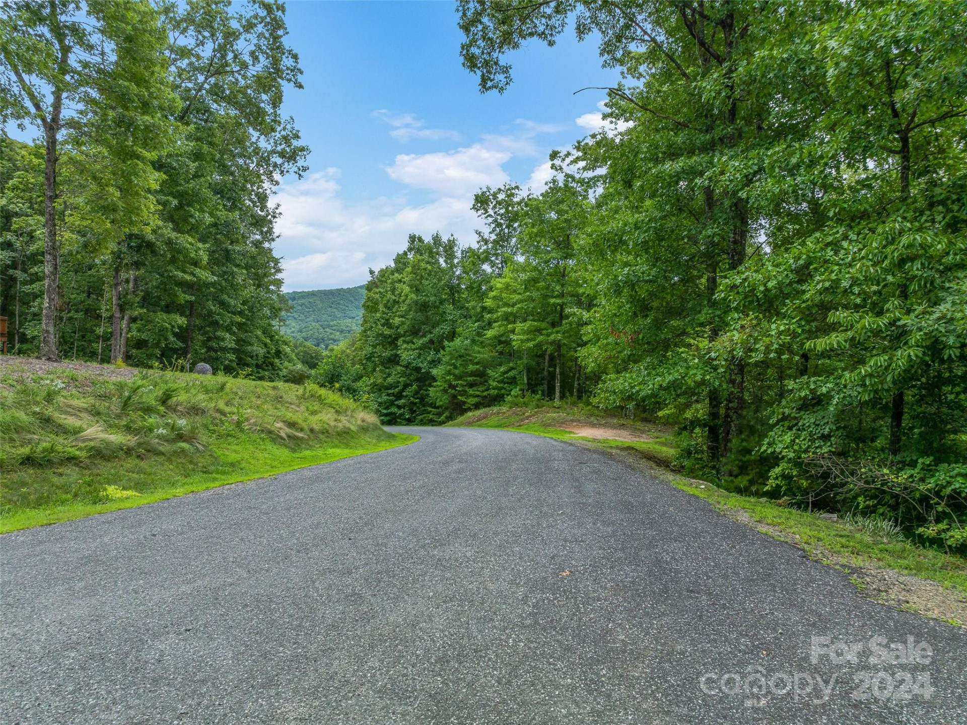 4155 French Broad Parkway - Photo 5
