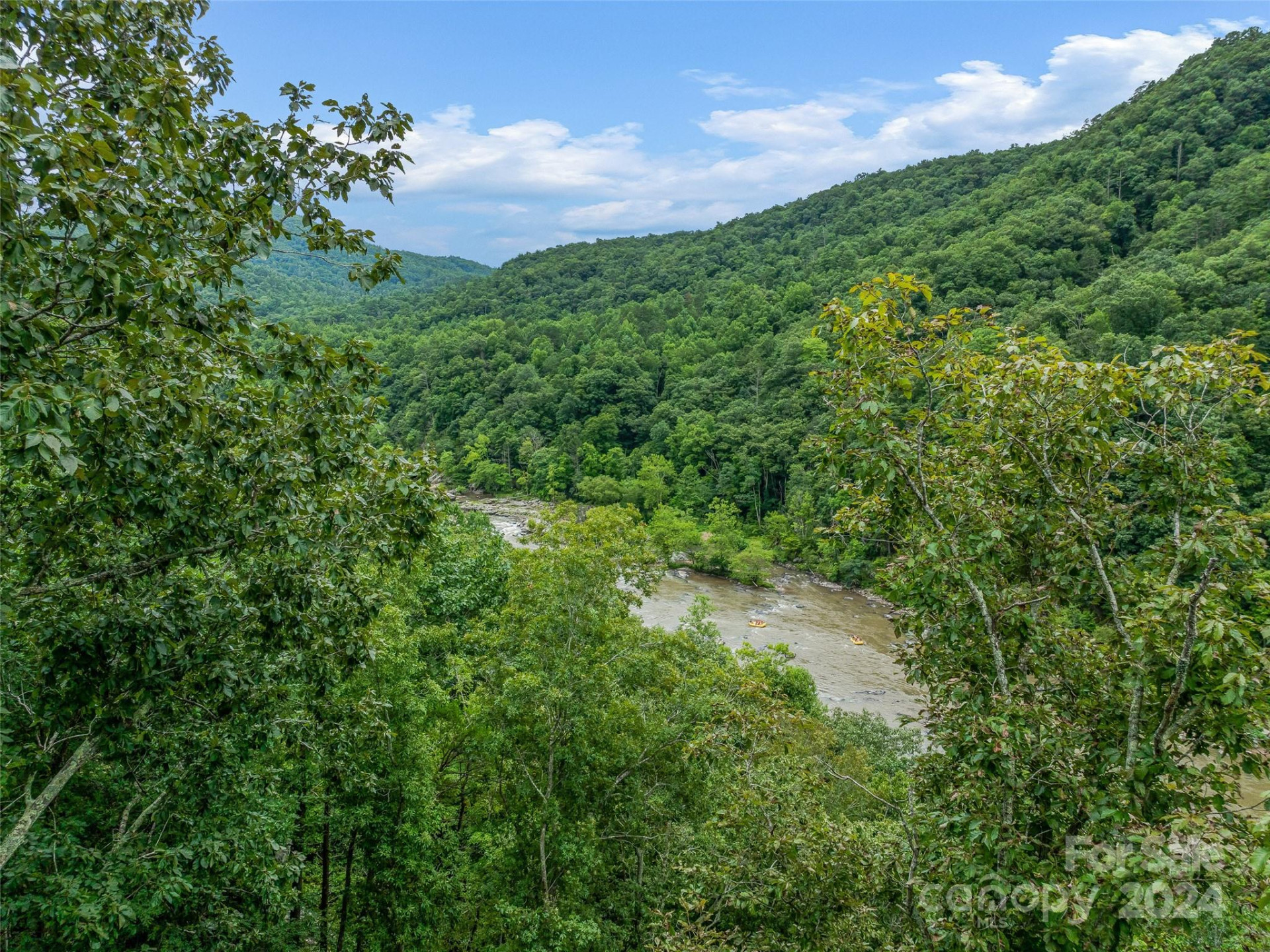 4155 French Broad Parkway - Photo 6