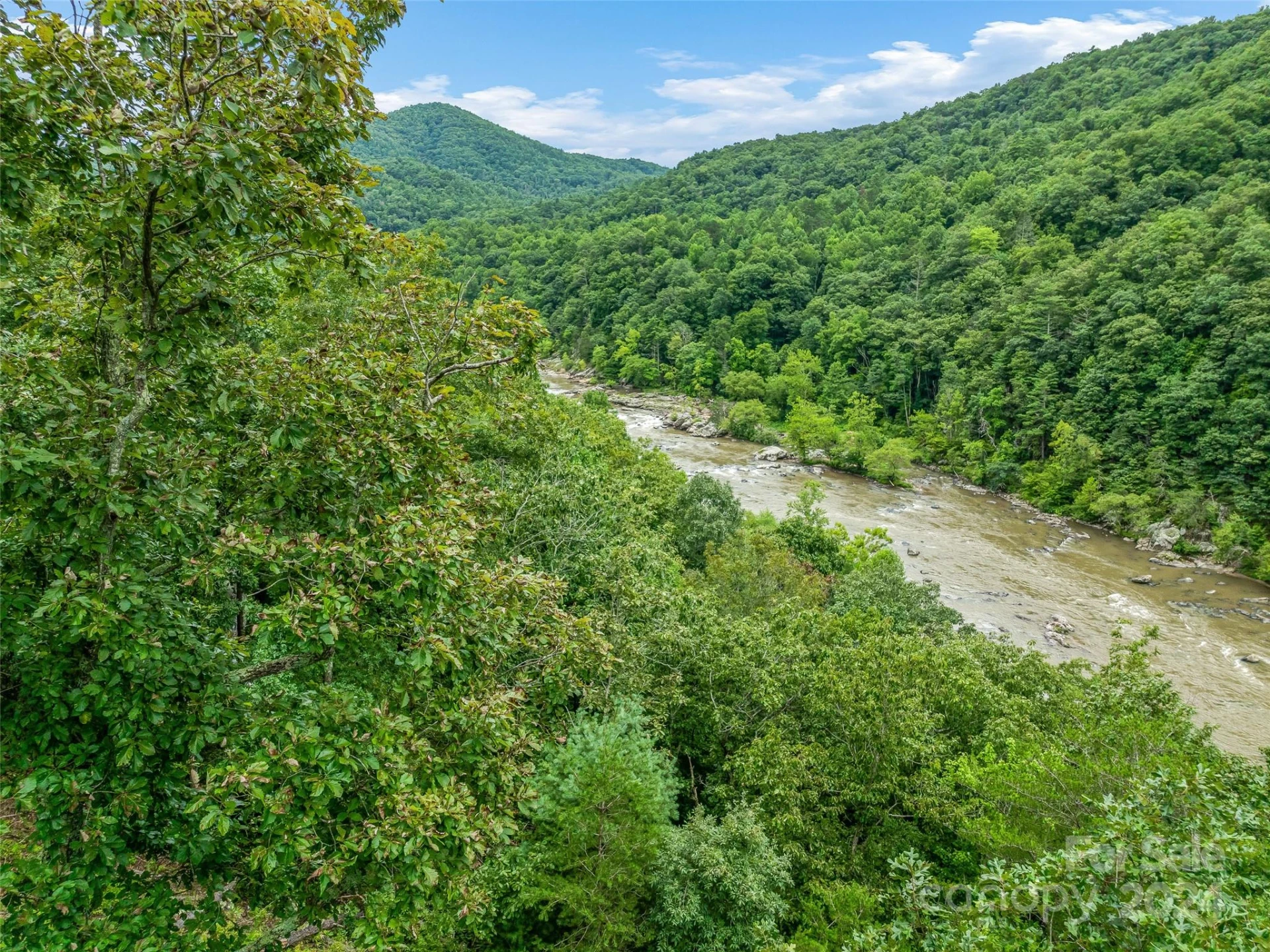 4155 French Broad Parkway - Photo 8