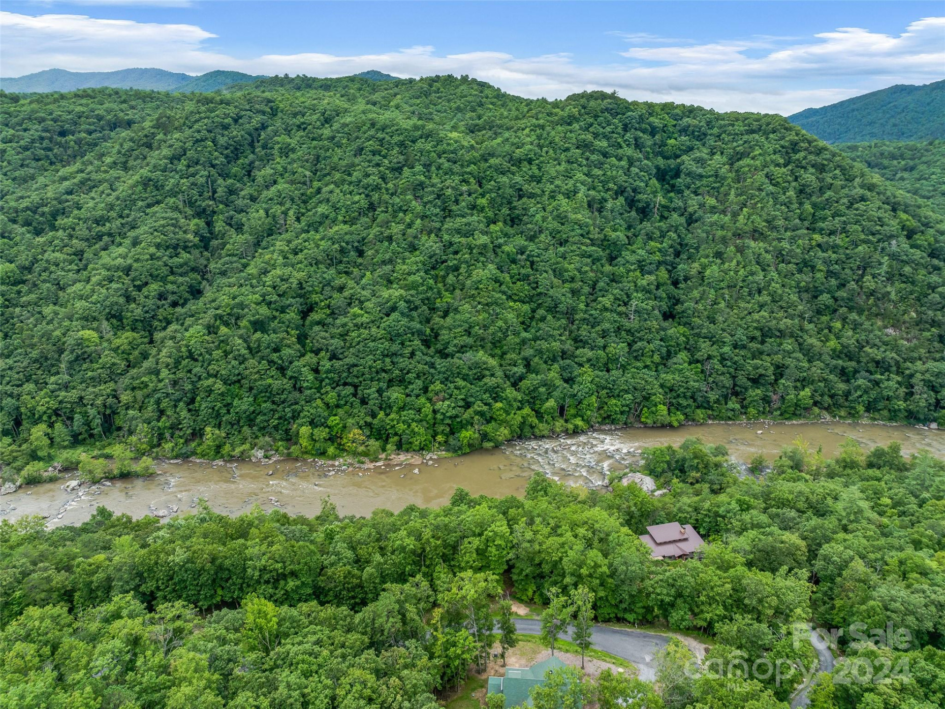 4155 French Broad Parkway - Photo 10