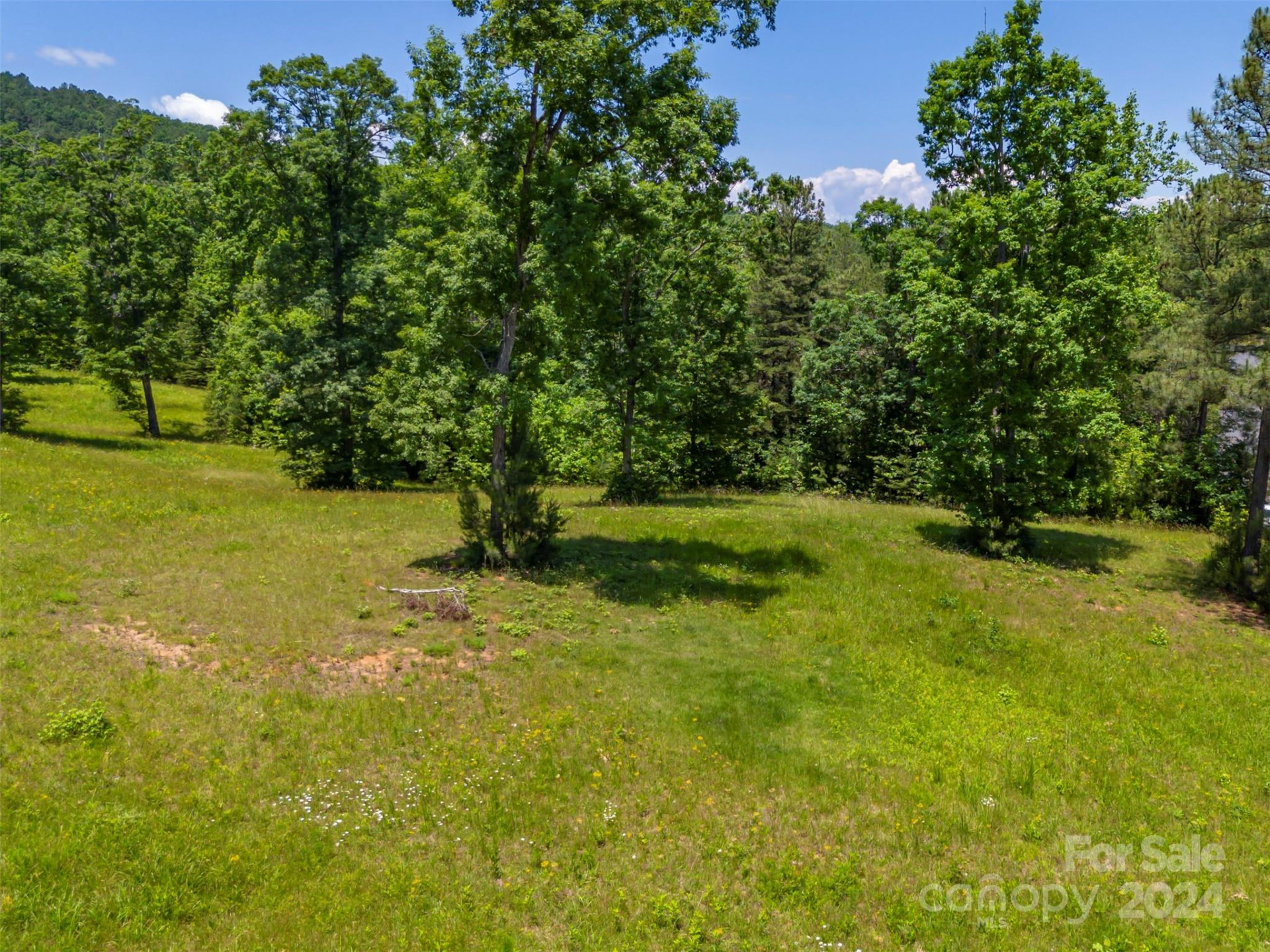 Lot 36 Mapleton Lane - Photo 12