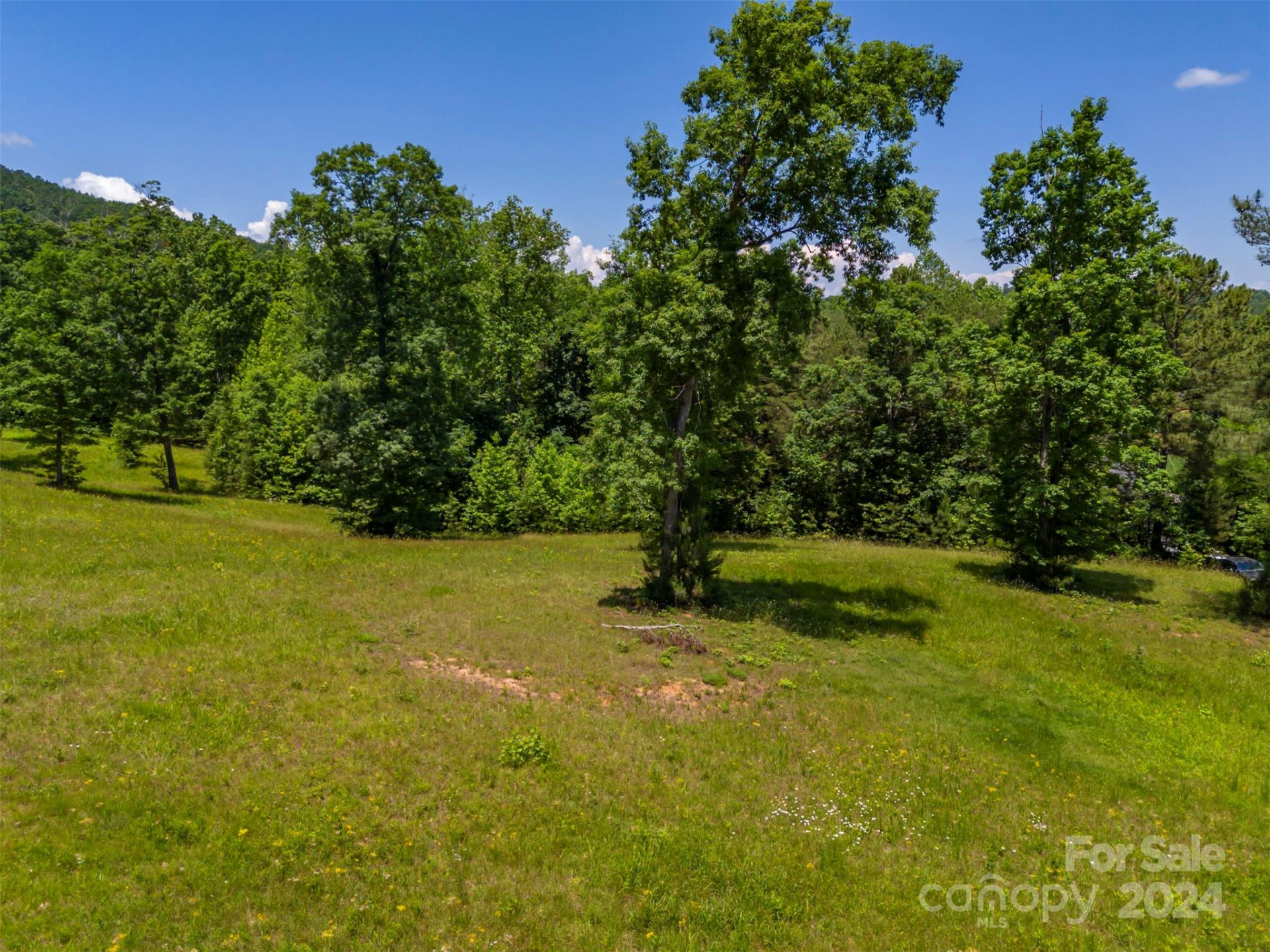 Lot 36 Mapleton Lane - Photo 13