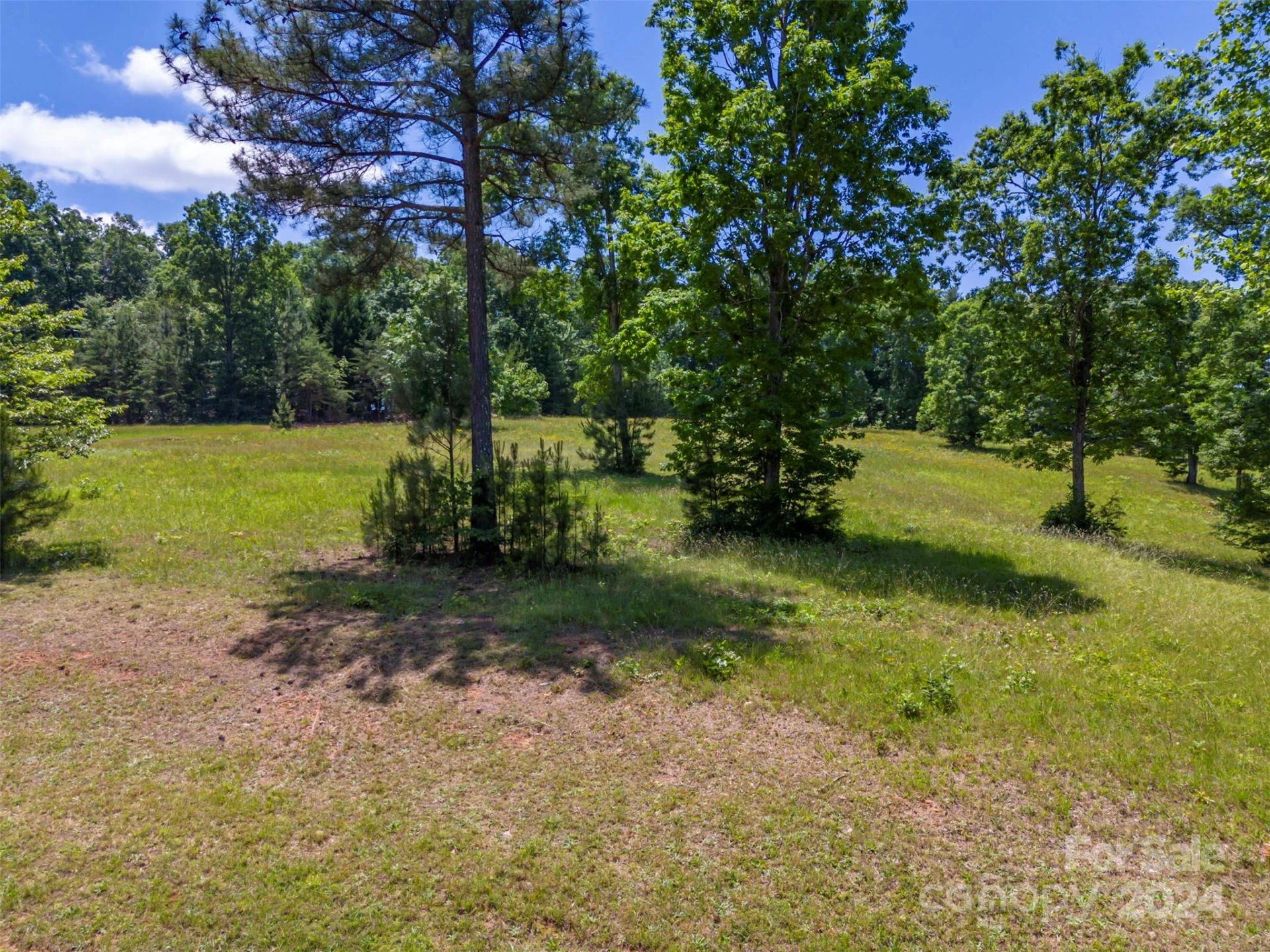 Lot 36 Mapleton Lane - Photo 5
