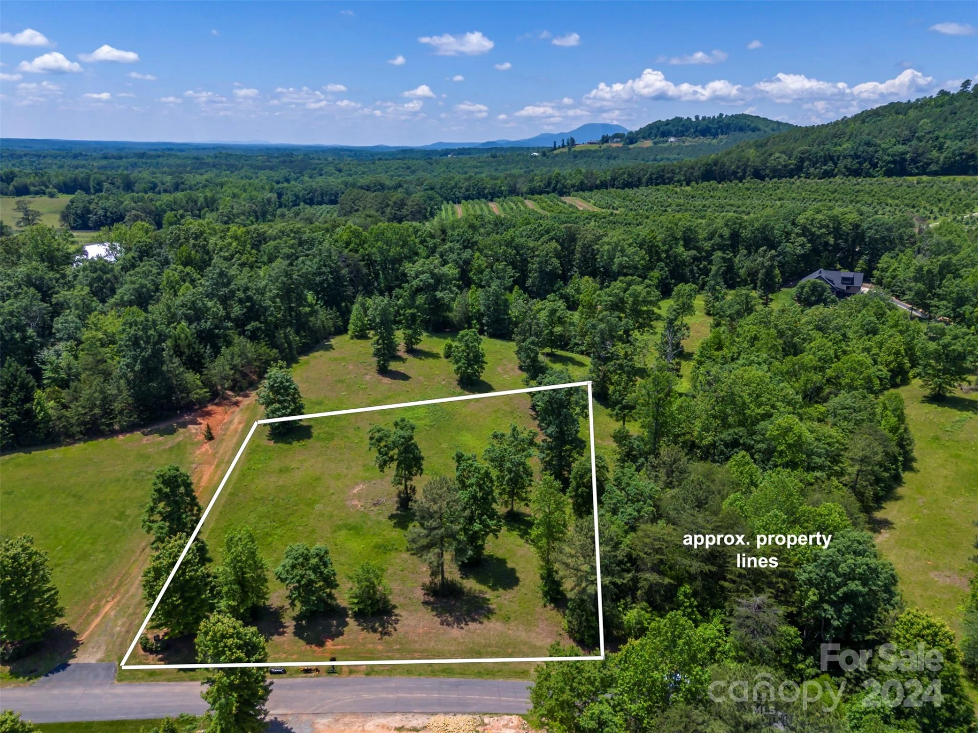 Lot 36 Mapleton Lane - Photo 6