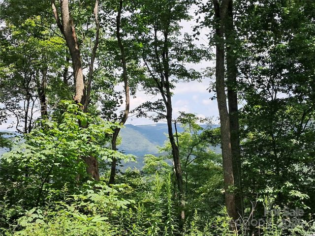 00 Hurricane Ridge Trace, Clyde, NC, 28721