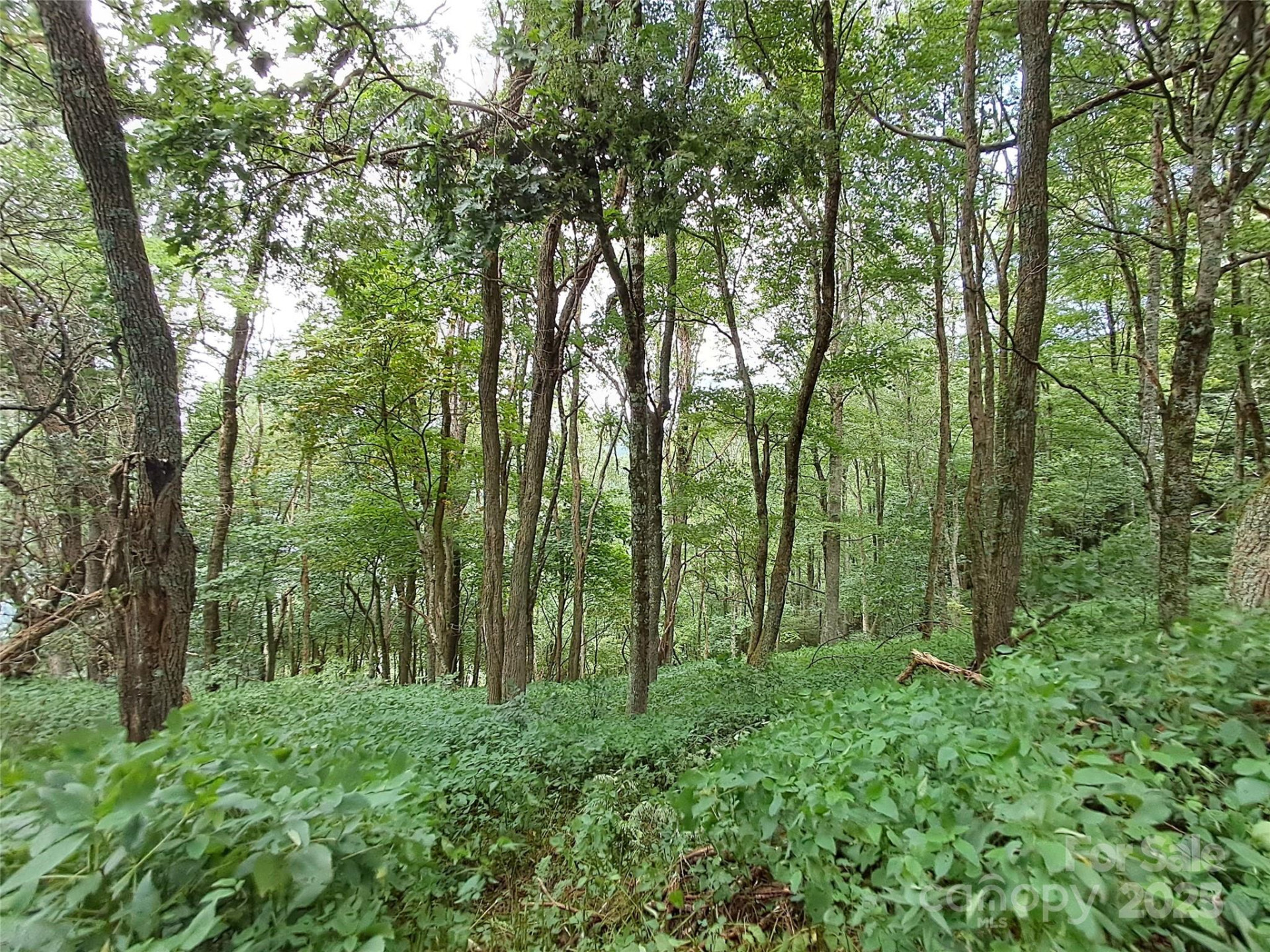 00 Hurricane Ridge Trace #53 - Photo 12