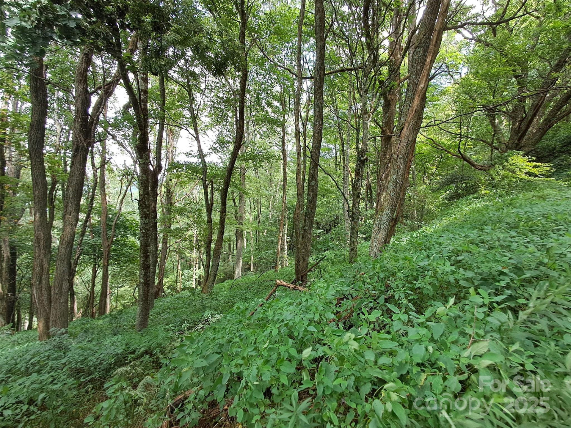 00 Hurricane Ridge Trace #53 - Photo 3