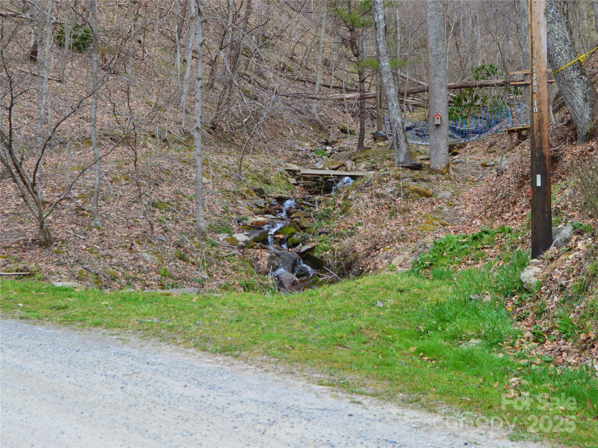 00 Hurricane Ridge Trace #53 - Photo 7