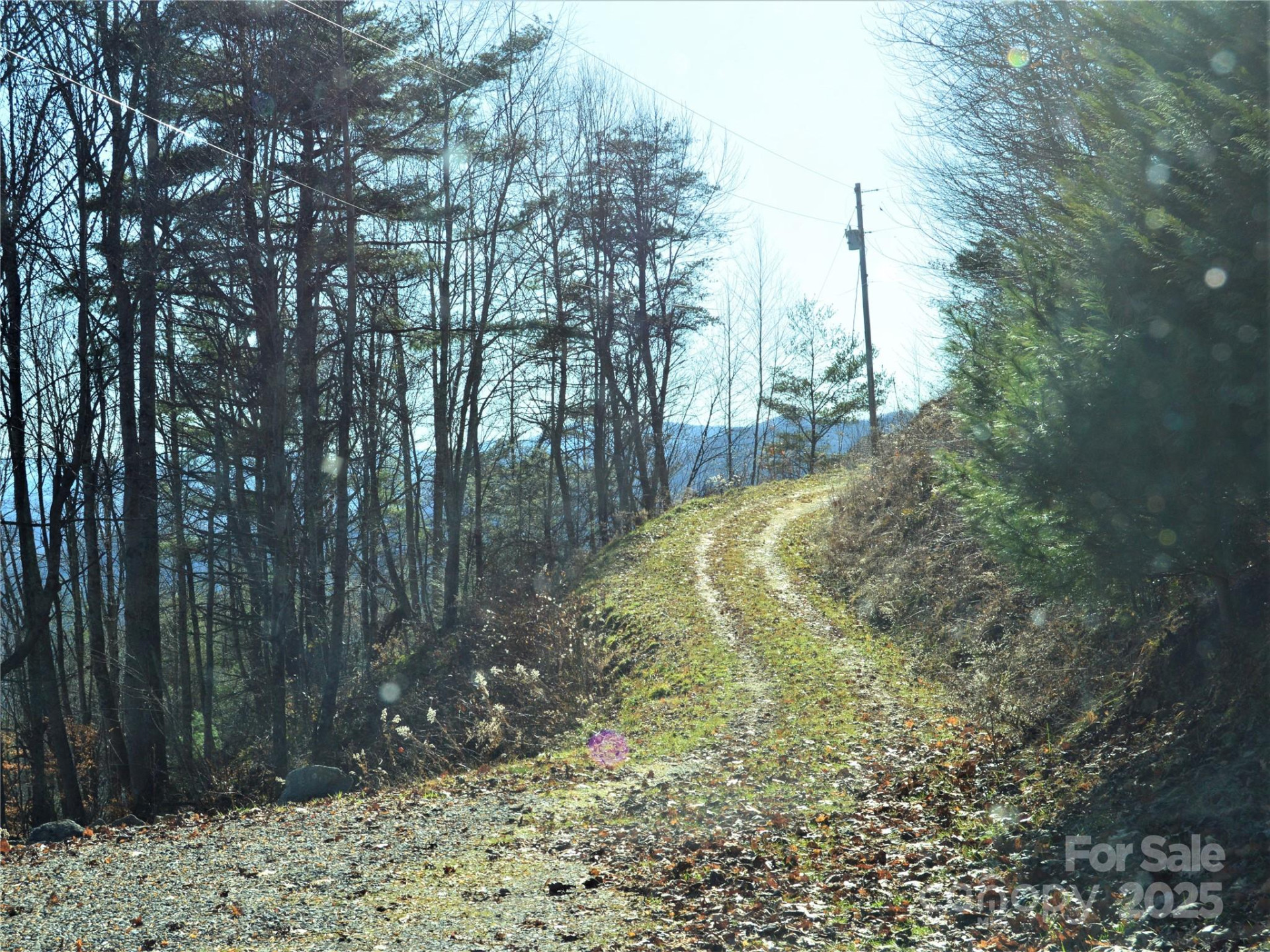 00 Hurricane Ridge Trace #53 - Photo 8