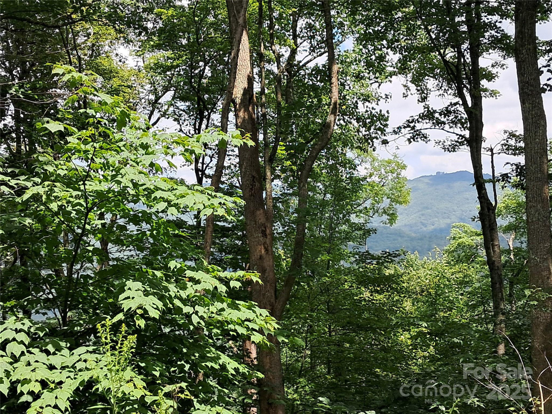 00 Hurricane Ridge Trace #53 - Photo 9